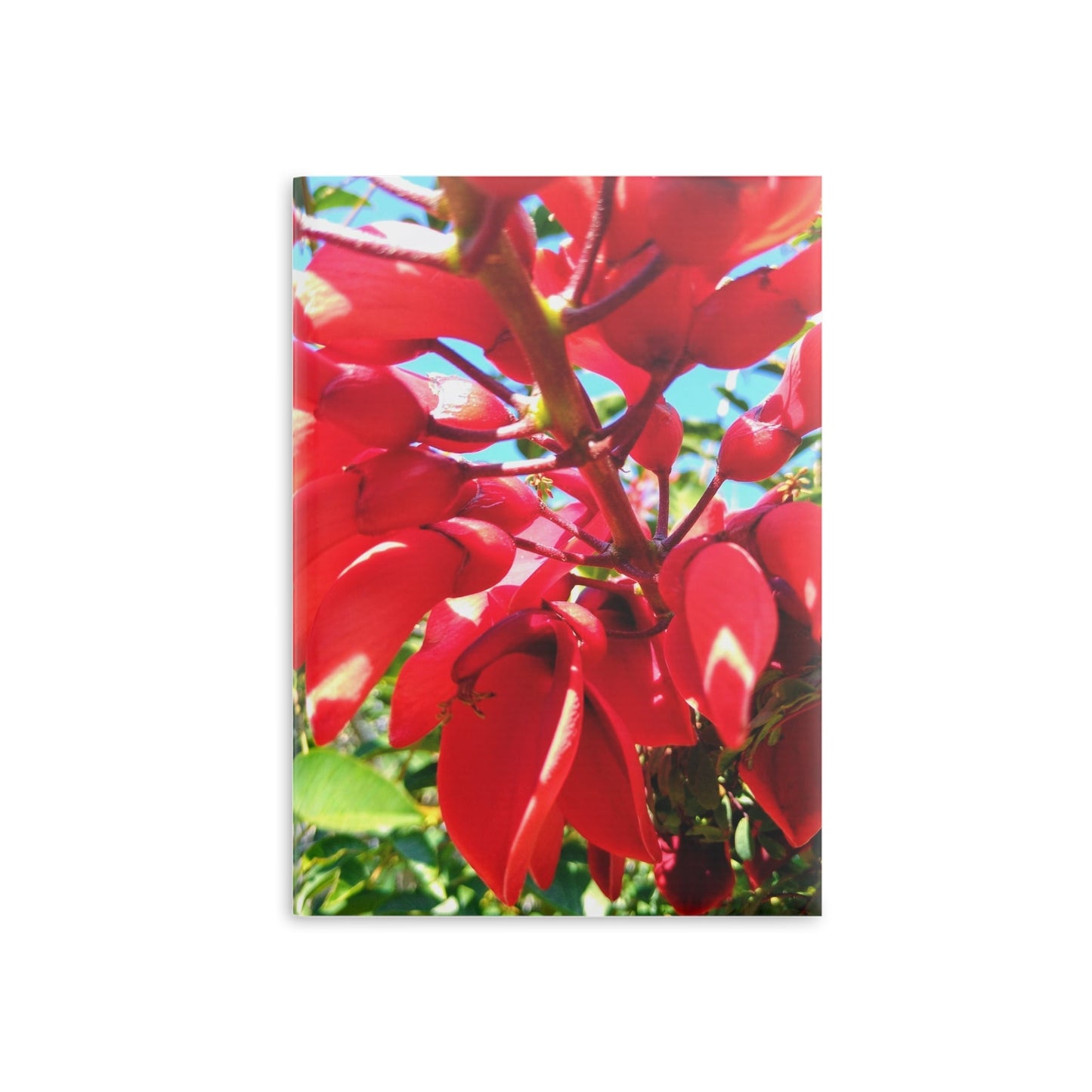 View details for Floral Hardcover Notebook — Tropical Red Blossom Puffy Cover Floral Hardcover Notebook — Tropical Red Blossom Puffy Cover