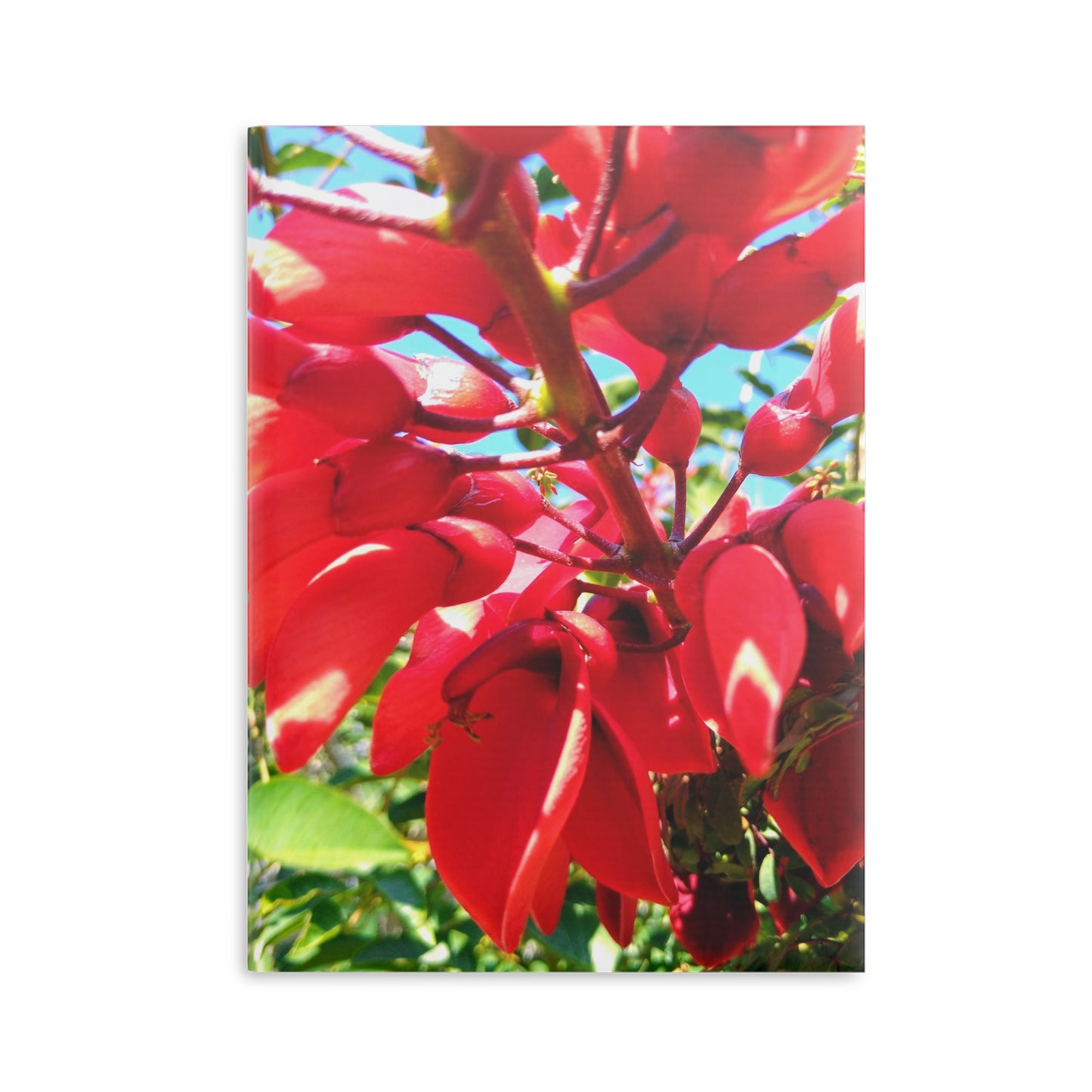 View details for Floral Hardcover Notebook — Tropical Red Blossom Puffy Cover Floral Hardcover Notebook — Tropical Red Blossom Puffy Cover
