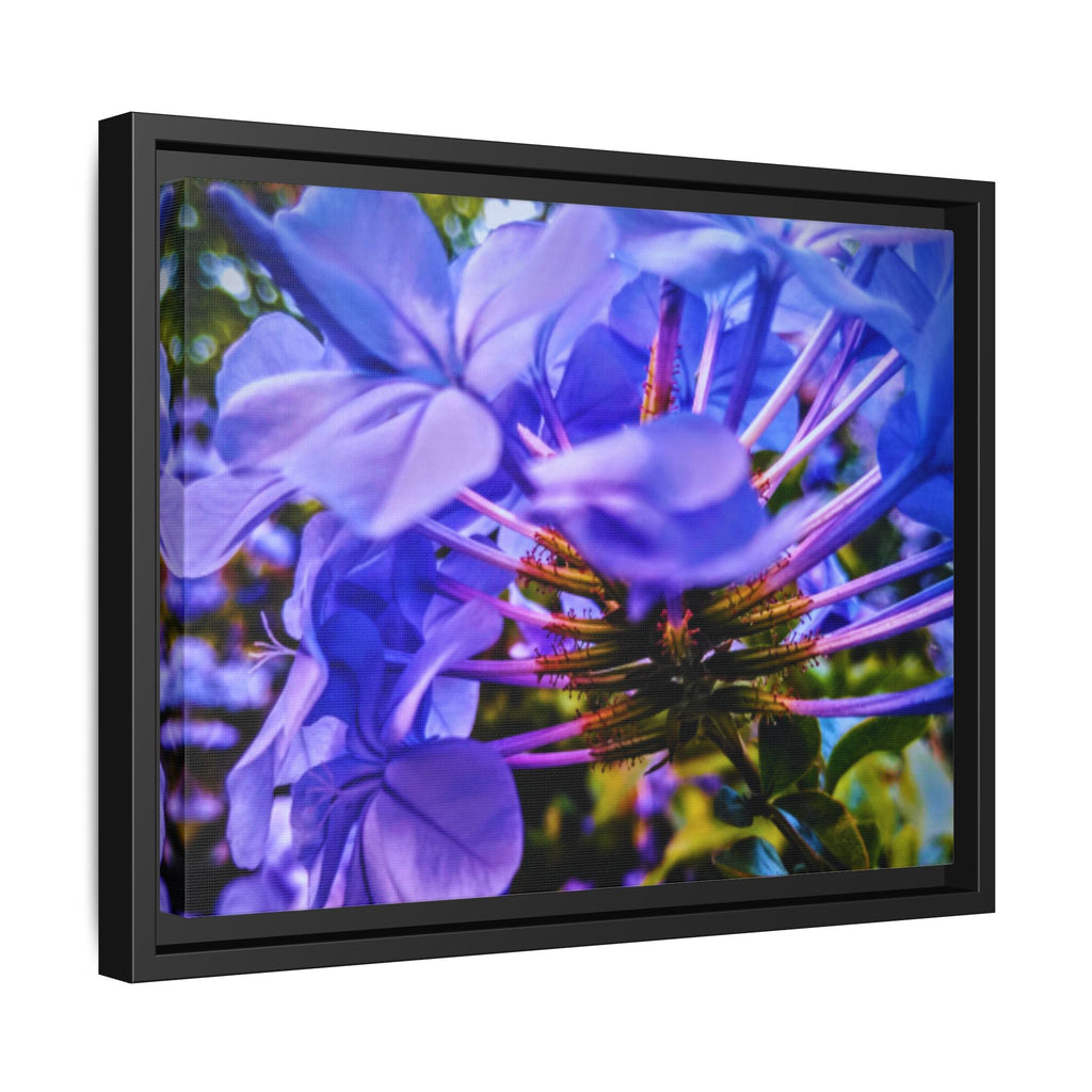 Blue Hydrangea Stem Matte Canvas Wall Art — Vibrant Close-Up Botanical Floral Print