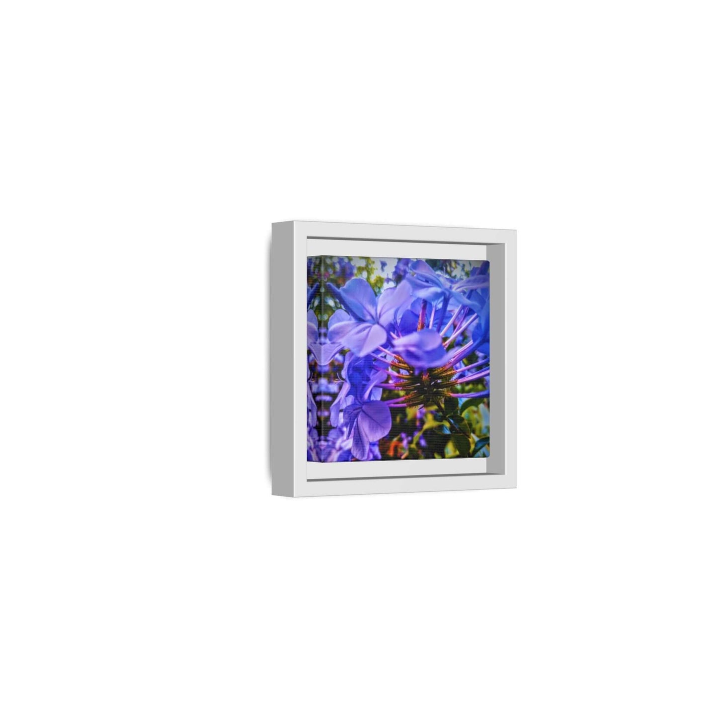 Blue Hydrangea Stem Canvas Wall Art