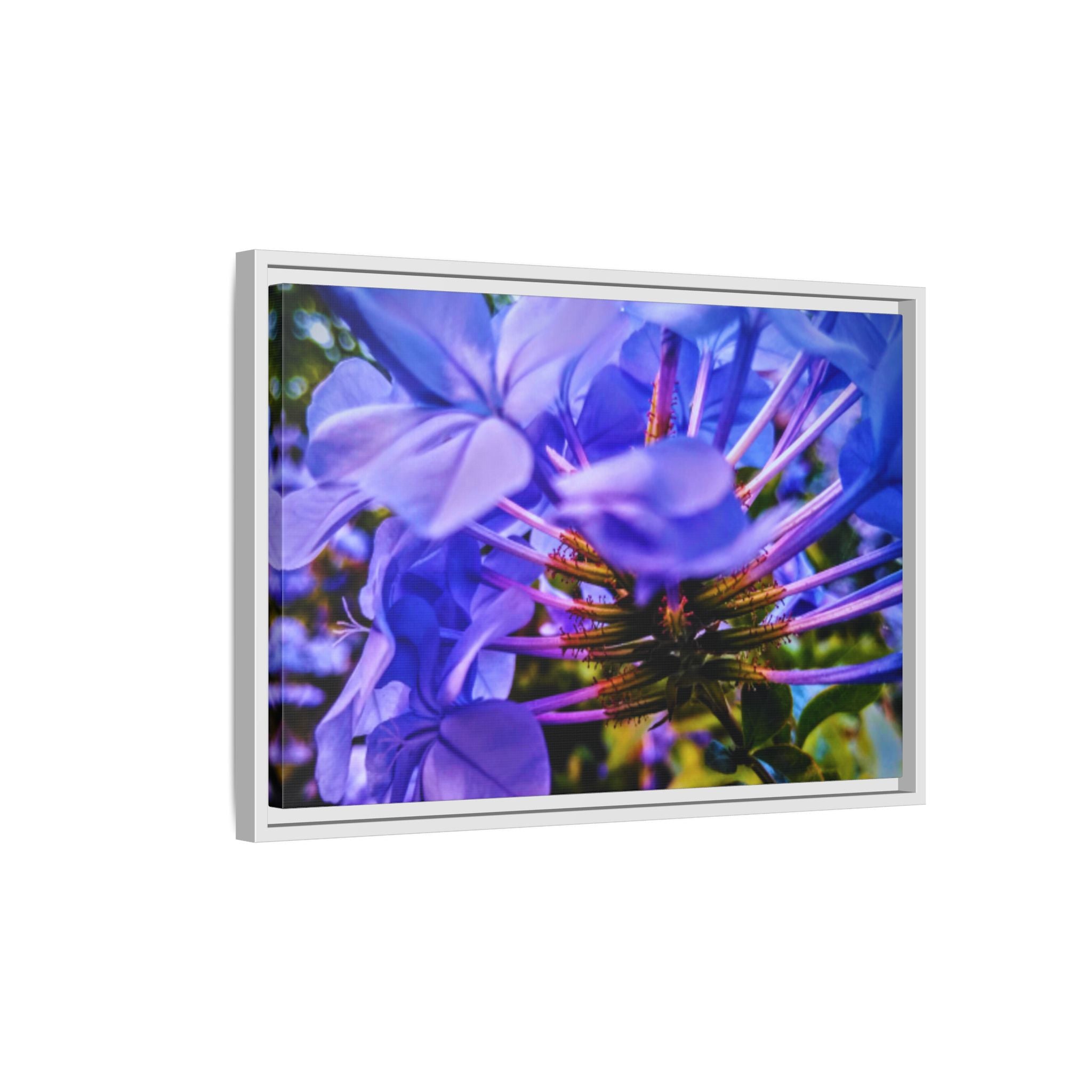 Blue Hydrangea Stem Matte Canvas Wall Art — Vibrant Close-Up Botanical Floral Print