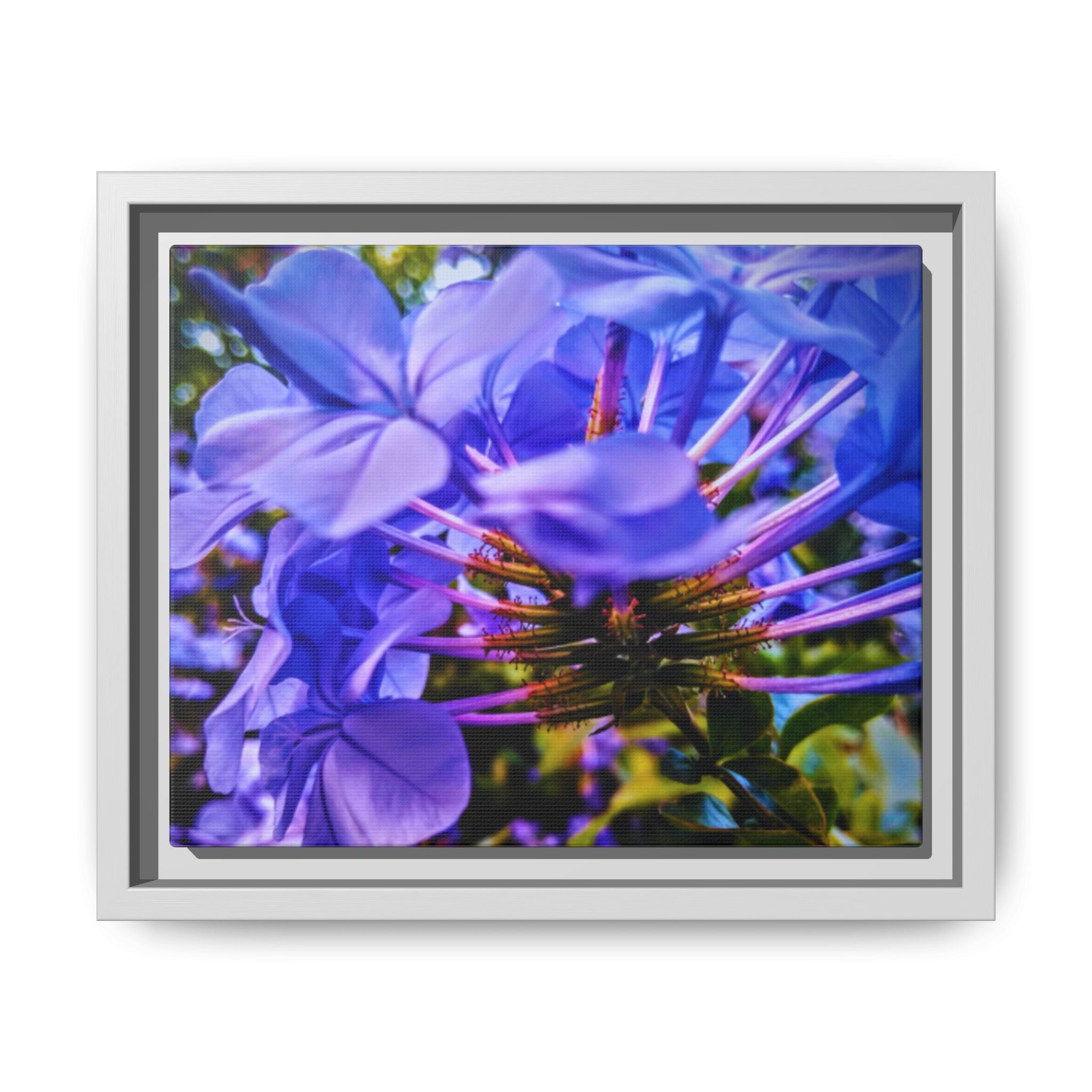 Blue Hydrangea Stem Matte Canvas Wall Art — Vibrant Close-Up Botanical Floral Print