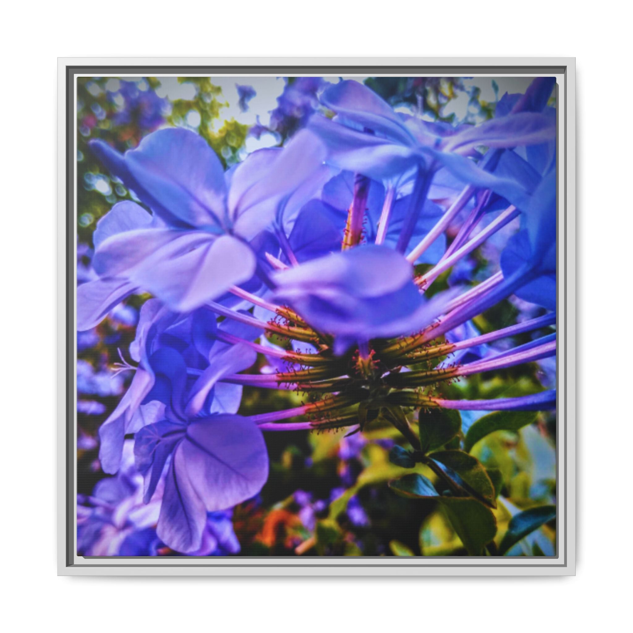 Blue Hydrangea Stem Matte Canvas Wall Art — Vibrant Close-Up Botanical Floral Print