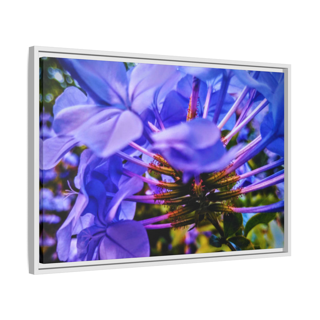 Blue Hydrangea Stem Matte Canvas Wall Art — Vibrant Close-Up Botanical Floral Print