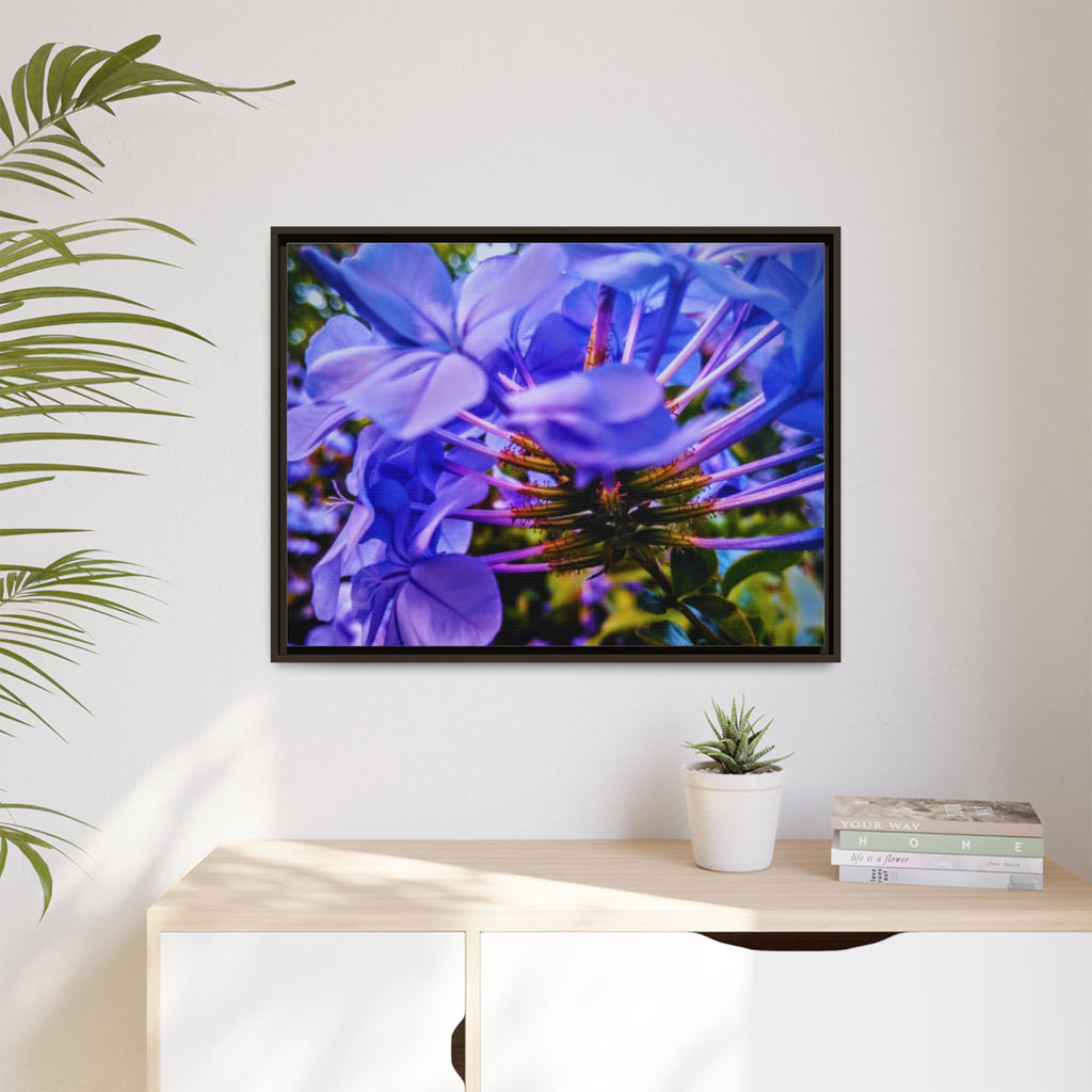 Blue Hydrangea Stem Matte Canvas Wall Art — Vibrant Close-Up Botanical Floral Print
