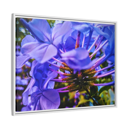 Blue Hydrangea Stem Matte Canvas Wall Art — Vibrant Close-Up Botanical Floral Print