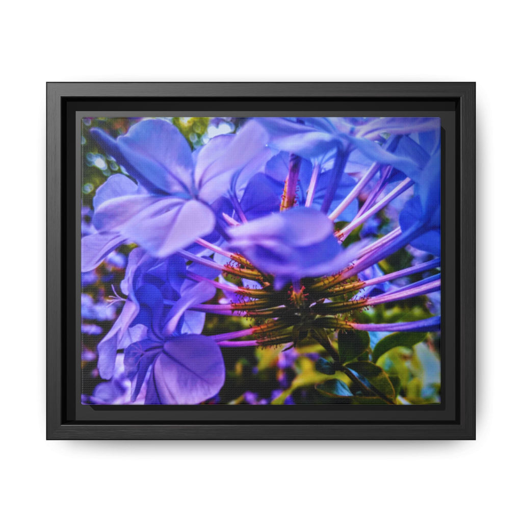Blue Hydrangea Stem Matte Canvas Wall Art — Vibrant Close-Up Botanical Floral Print