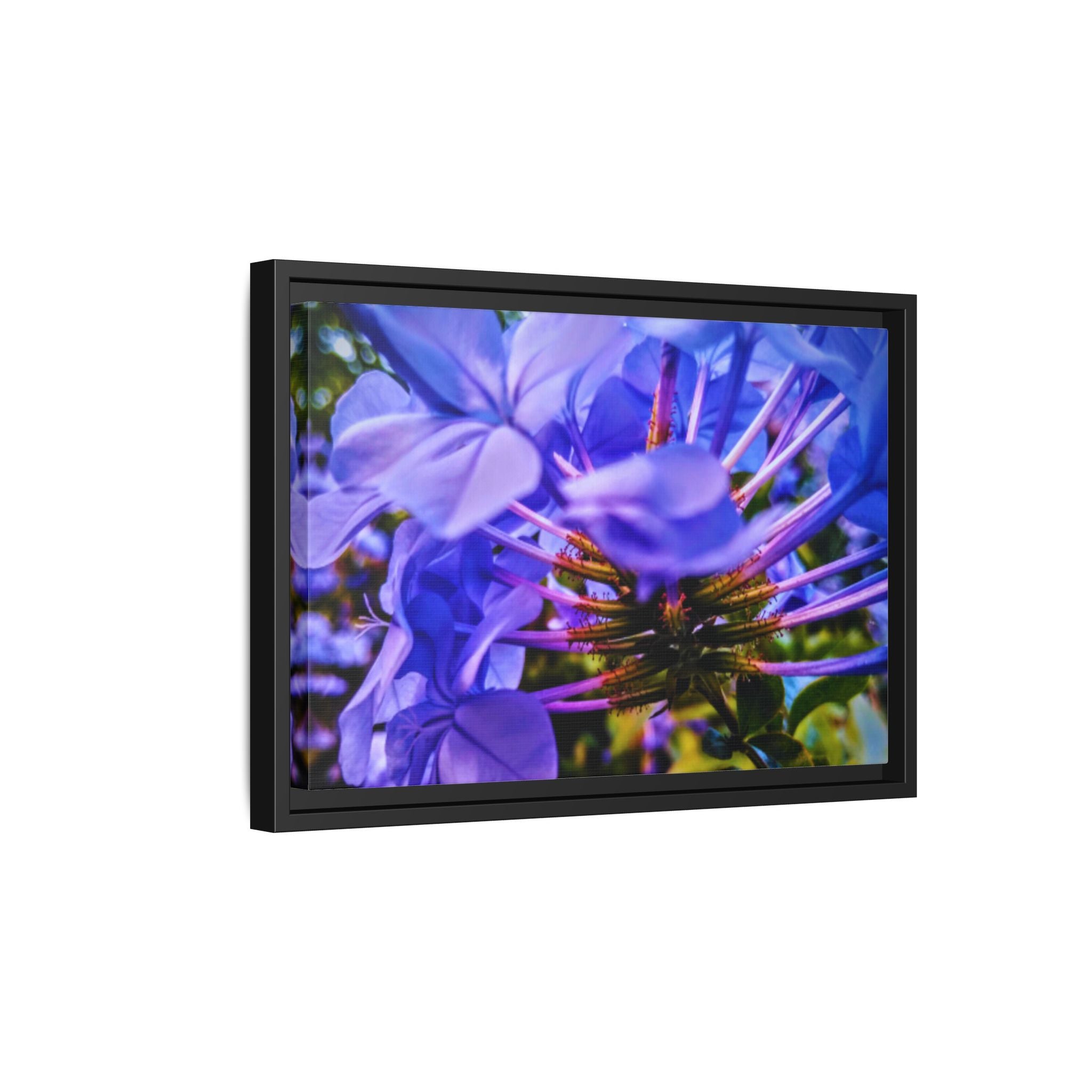 Blue Hydrangea Stem Matte Canvas Wall Art — Vibrant Close-Up Botanical Floral Print