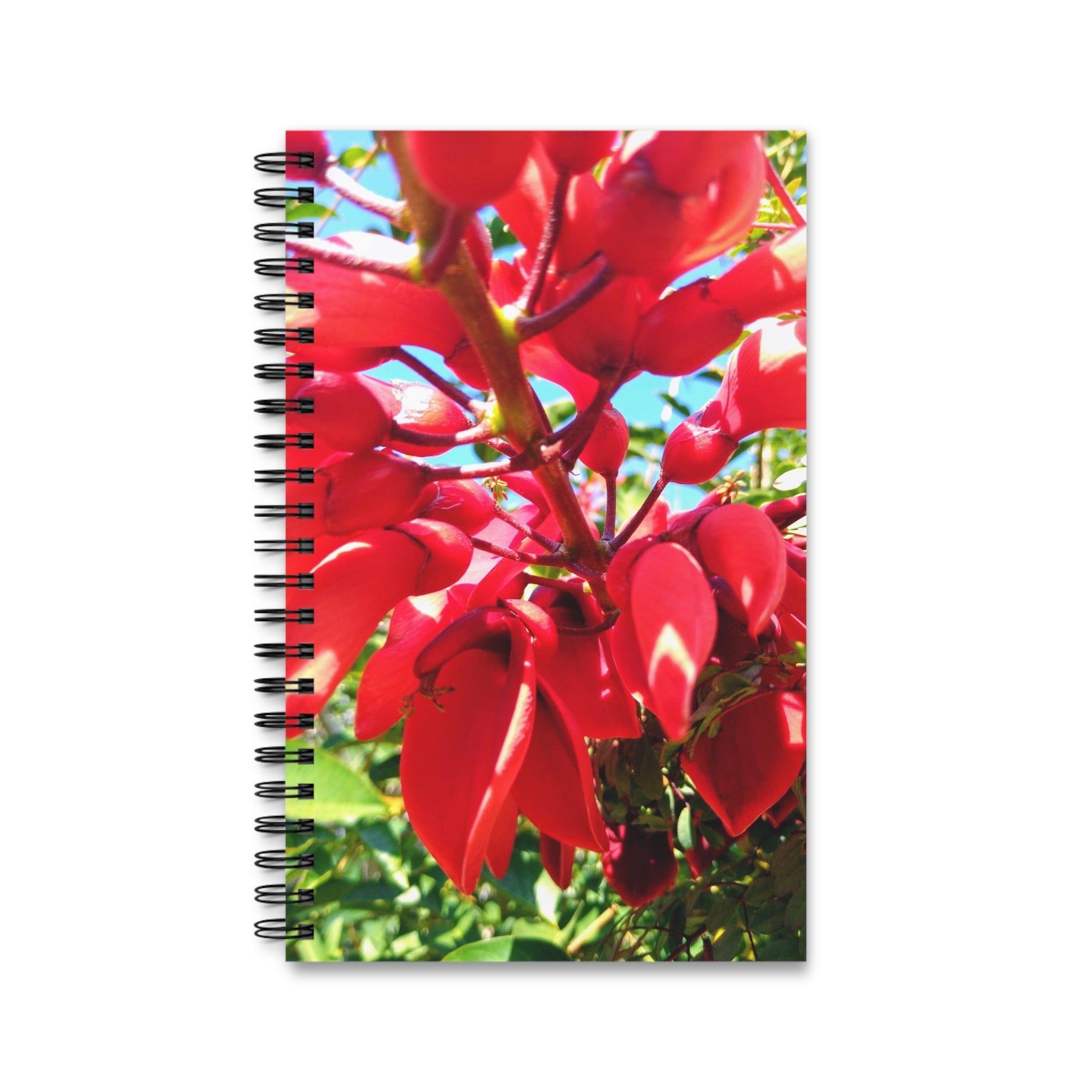 Red Cockspur Coral Tree Tropical Flower Spiral Journal — Botanical Notebook for Notes & Daily Writing