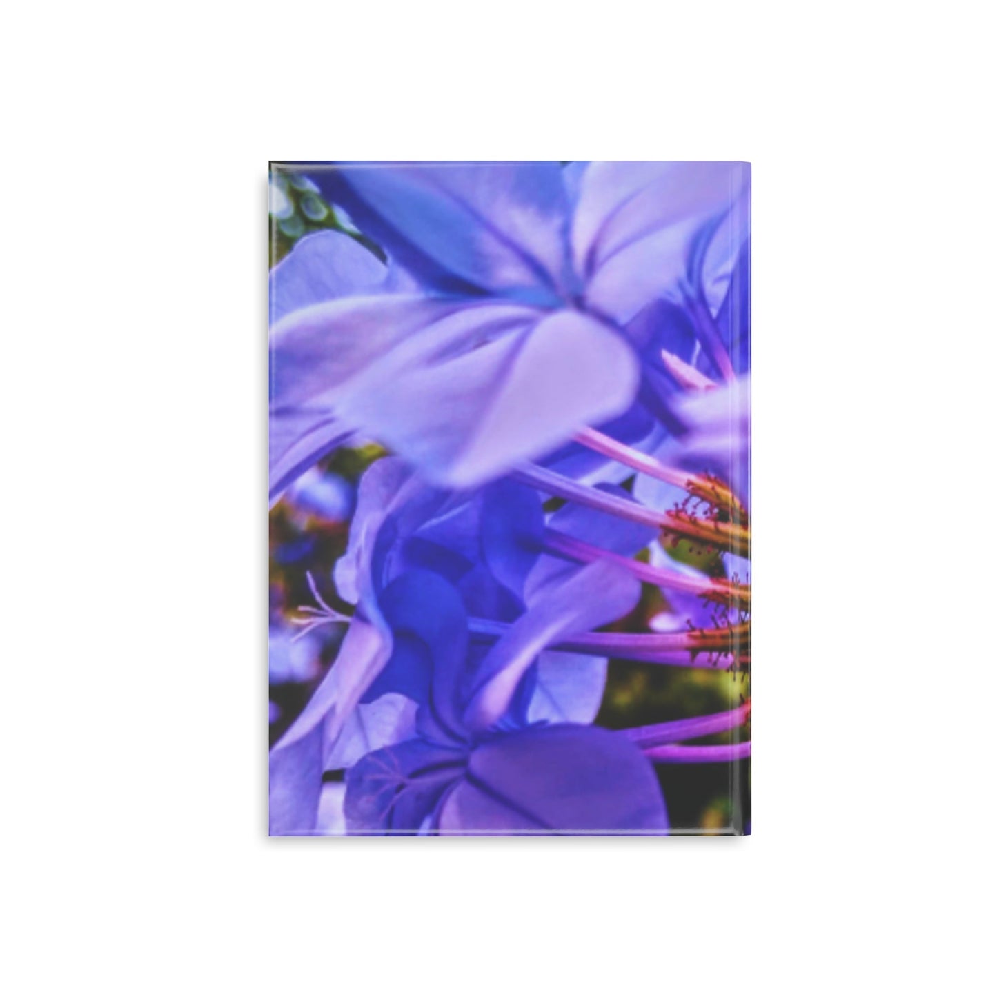 Blue Hydrangea Stem Puffy Hardcover Notebook