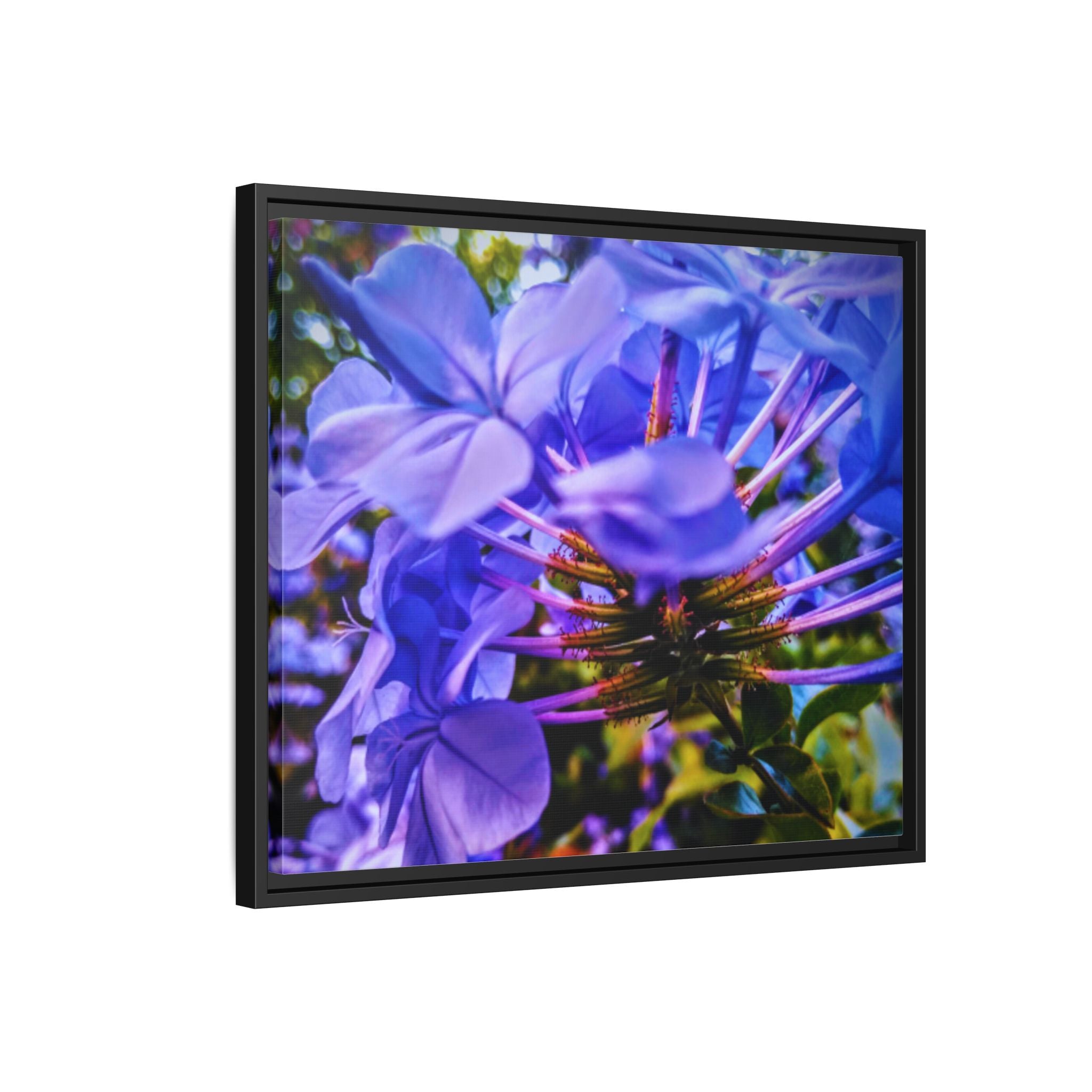 Blue Hydrangea Stem Matte Canvas Wall Art — Vibrant Close-Up Botanical Floral Print