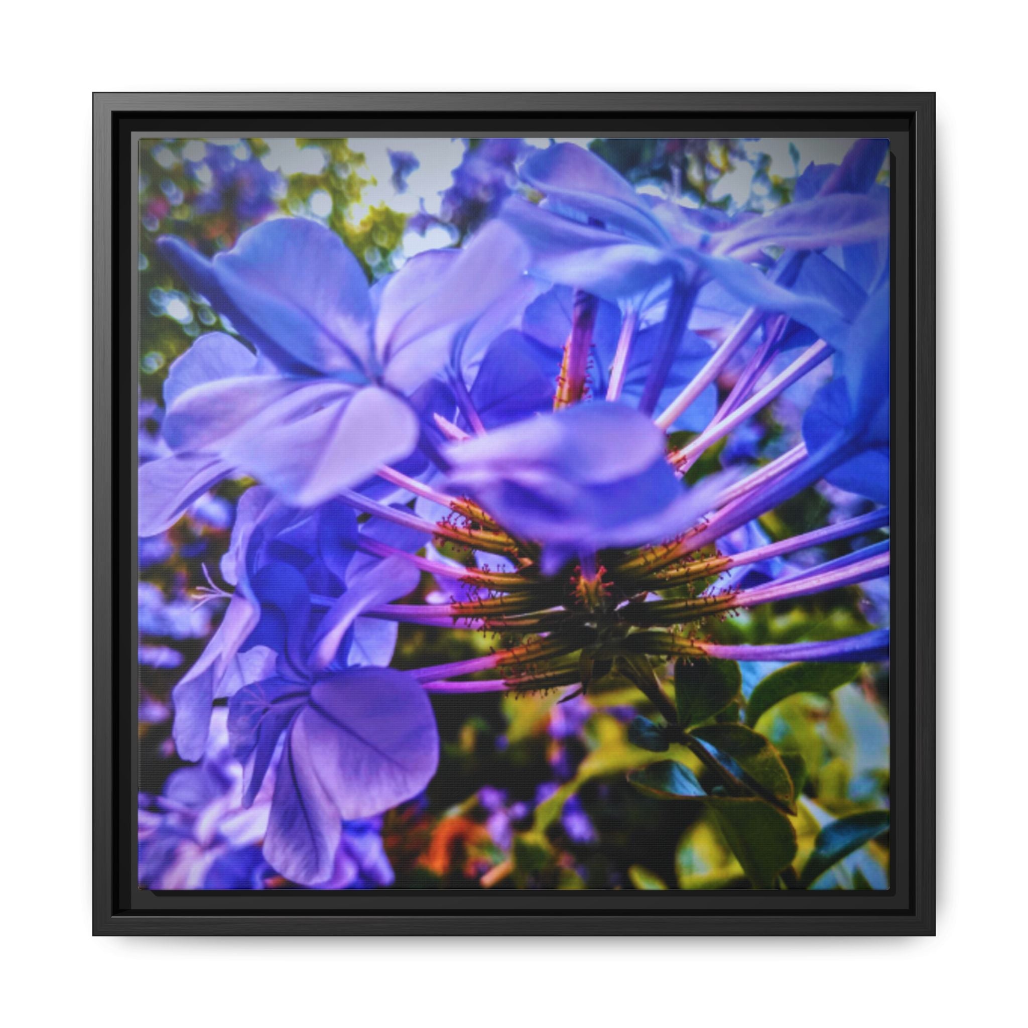 Blue Hydrangea Stem Matte Canvas Wall Art — Vibrant Close-Up Botanical Floral Print