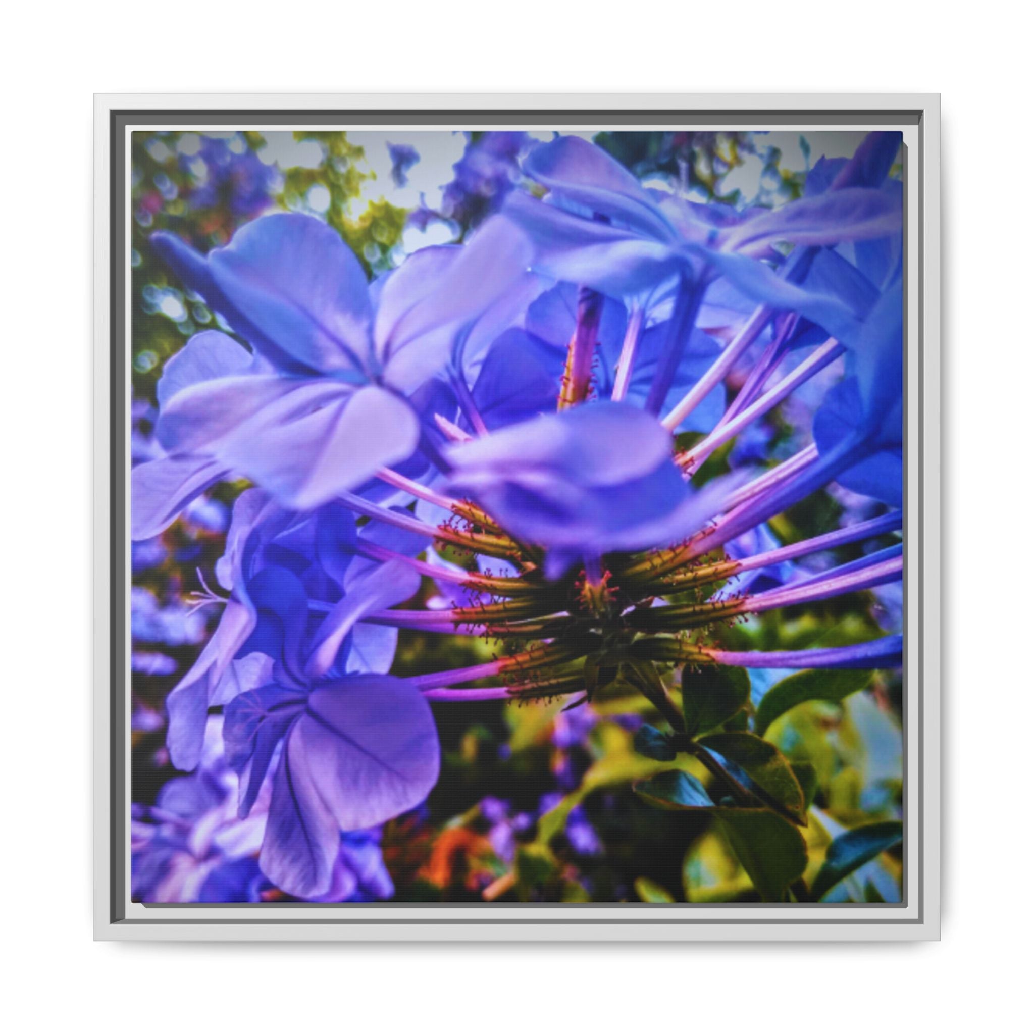 Blue Hydrangea Stem Matte Canvas Wall Art — Vibrant Close-Up Botanical Floral Print