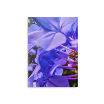 Blue Hydrangea Stem Puffy Hardcover Notebook