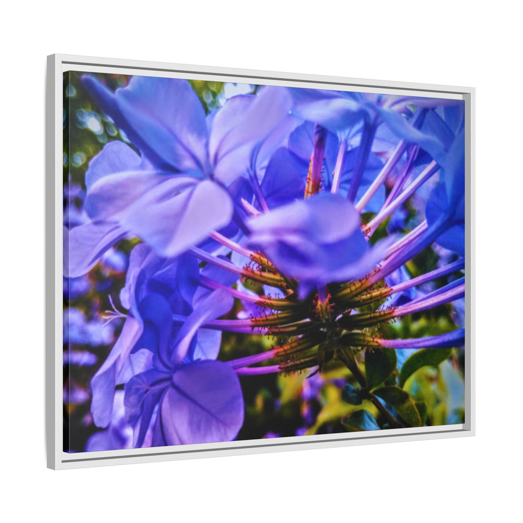 Blue Hydrangea Stem Matte Canvas Wall Art — Vibrant Close-Up Botanical Floral Print