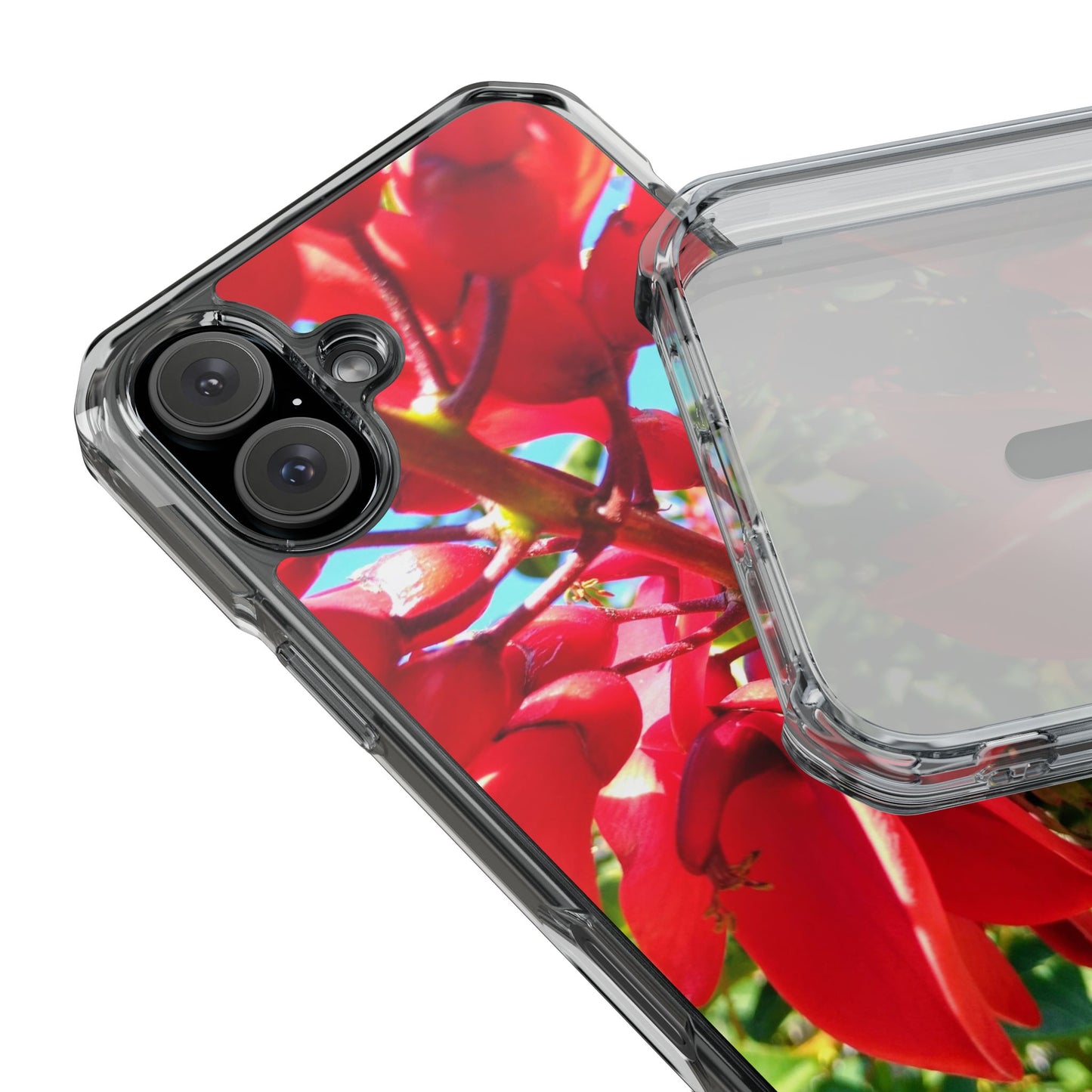 Red Cockspur Tree iPhone 16 Plus Case | MagSafe Clear Magnetic Impact Cover