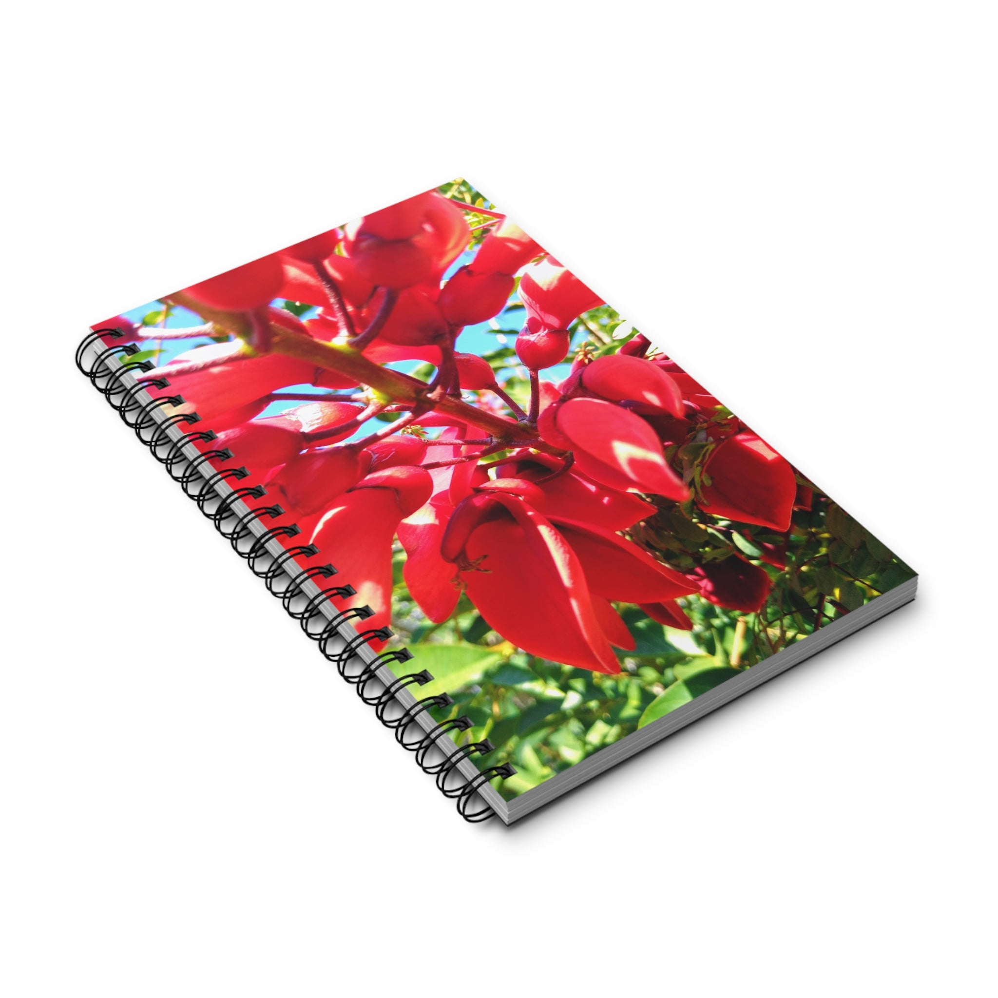 Red Cockspur Coral Tree Tropical Flower Spiral Journal — Botanical Notebook for Notes & Daily Writing