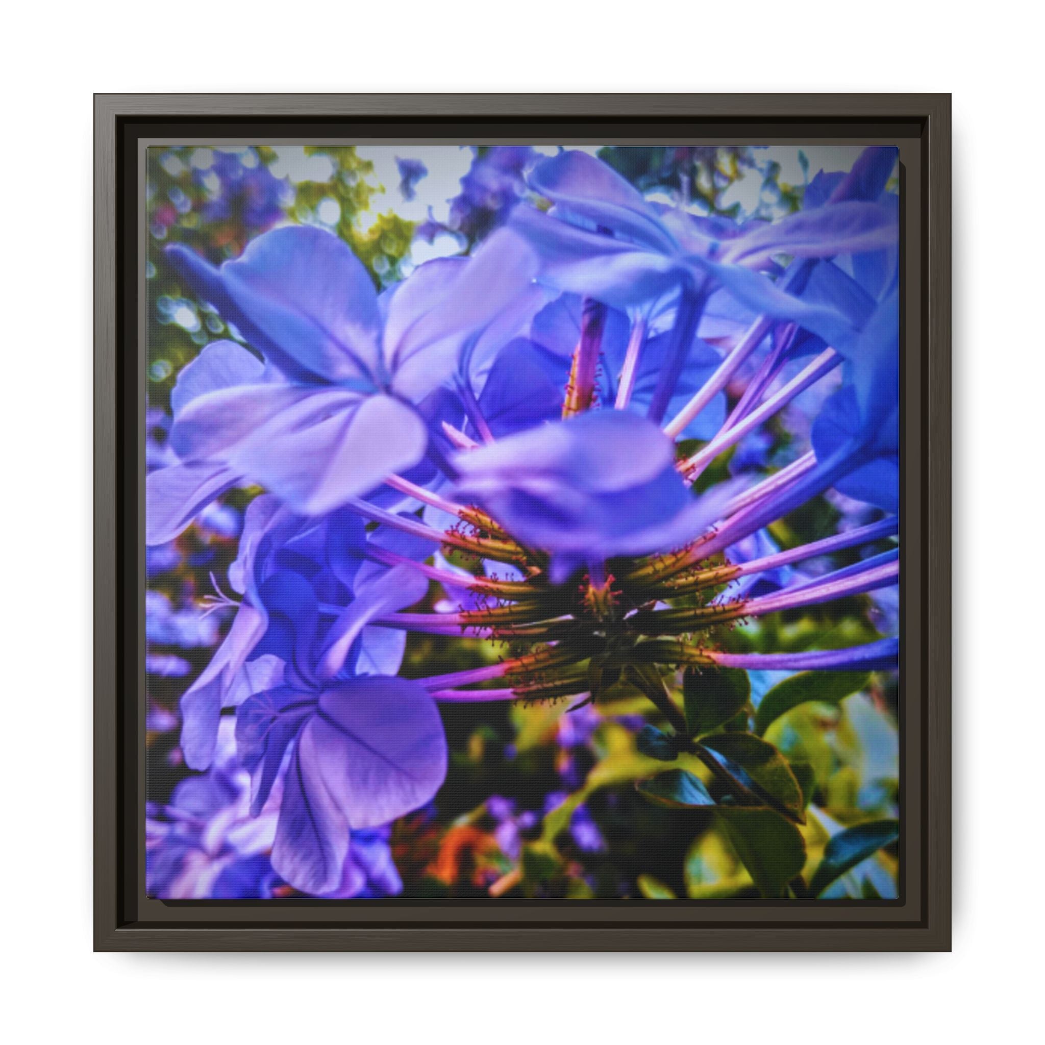 Blue Hydrangea Stem Matte Canvas Wall Art — Vibrant Close-Up Botanical Floral Print