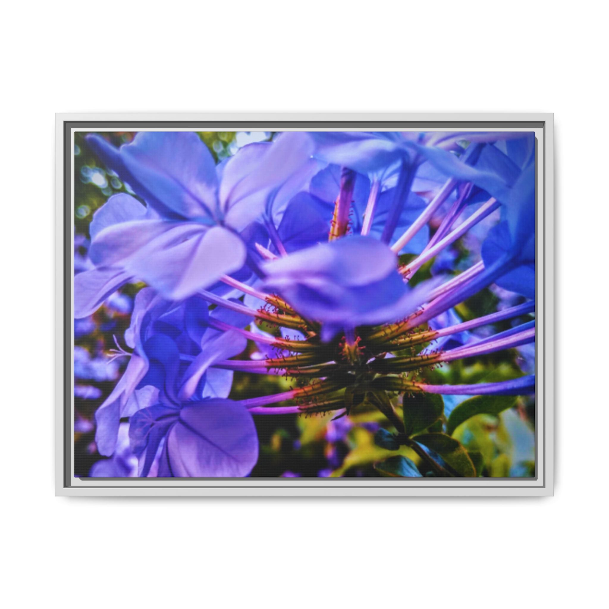 Blue Hydrangea Stem Matte Canvas Wall Art — Vibrant Close-Up Botanical Floral Print