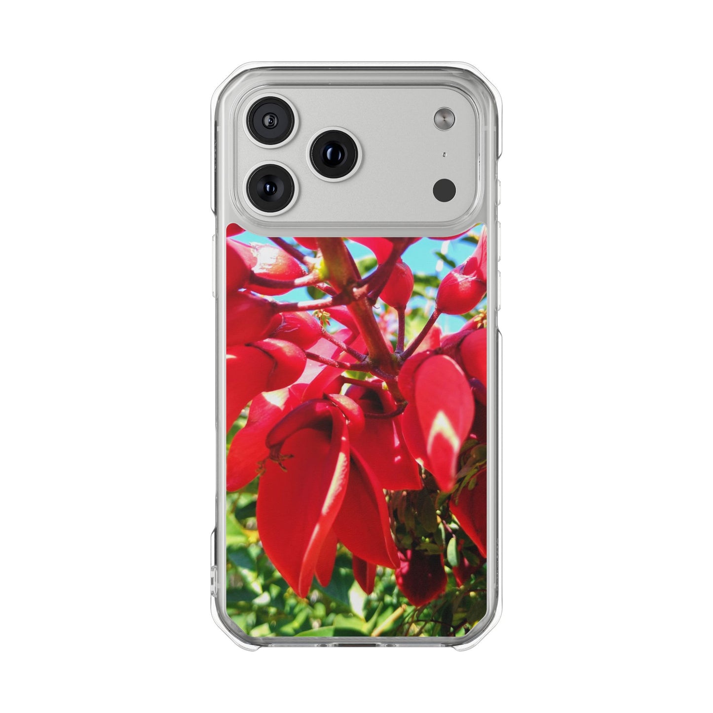 Red Cockspur Tree iPhone 17 Pro Max Case | MagSafe Clear Magnetic Impact Cover