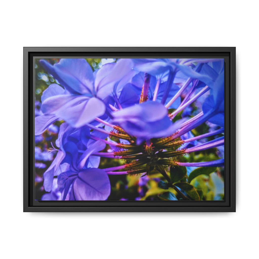 Blue Hydrangea Stem Matte Canvas Wall Art — Vibrant Close-Up Botanical Floral Print