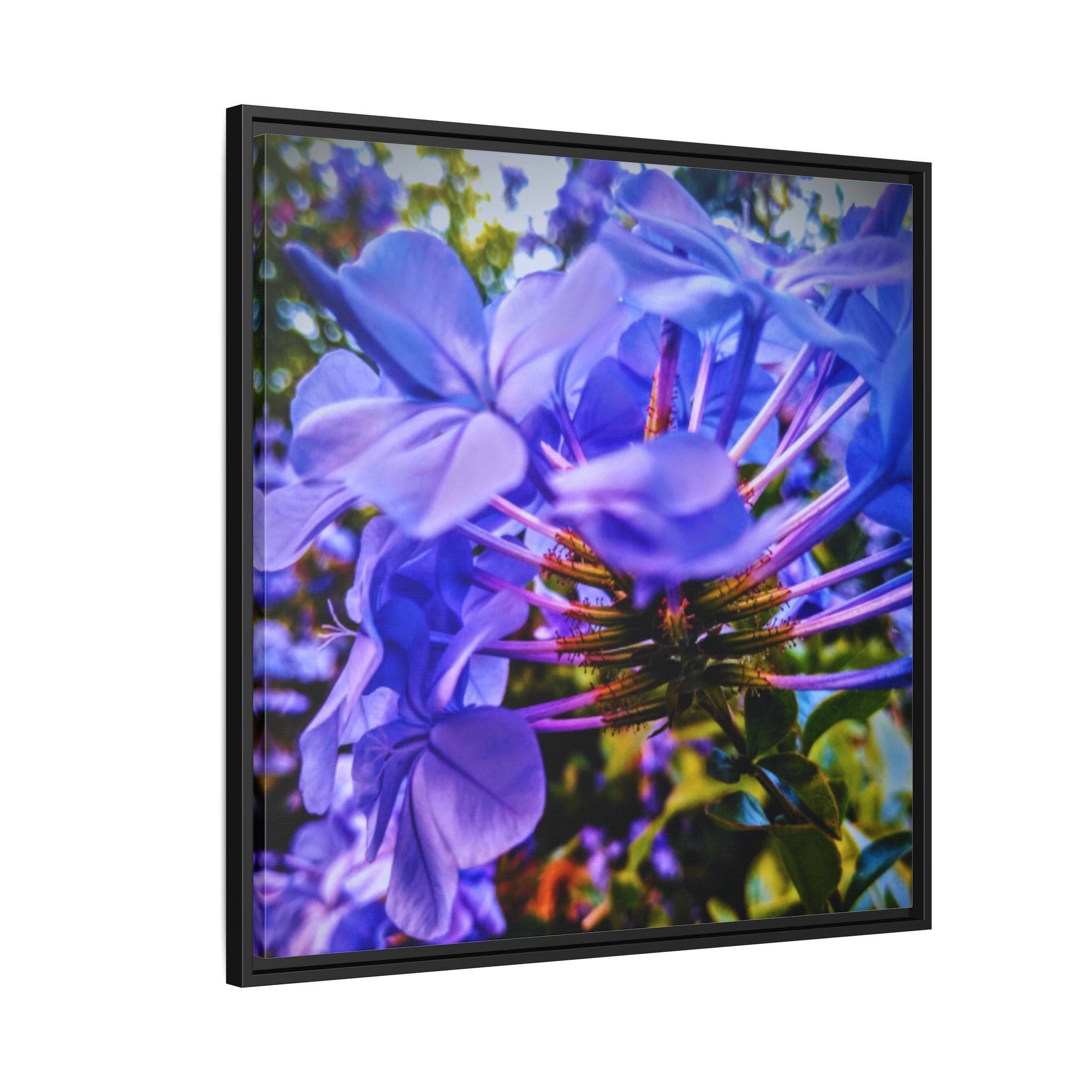 Blue Hydrangea Stem Matte Canvas Wall Art — Vibrant Close-Up Botanical Floral Print