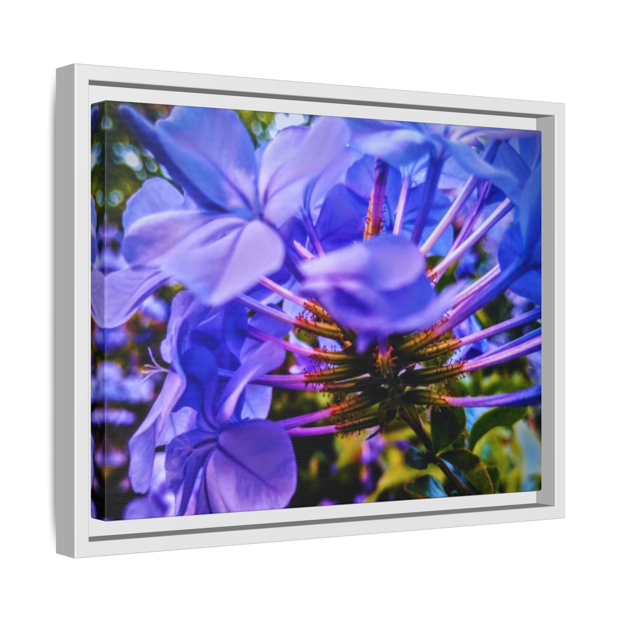 Blue Hydrangea Stem Matte Canvas Wall Art — Vibrant Close-Up Botanical Floral Print