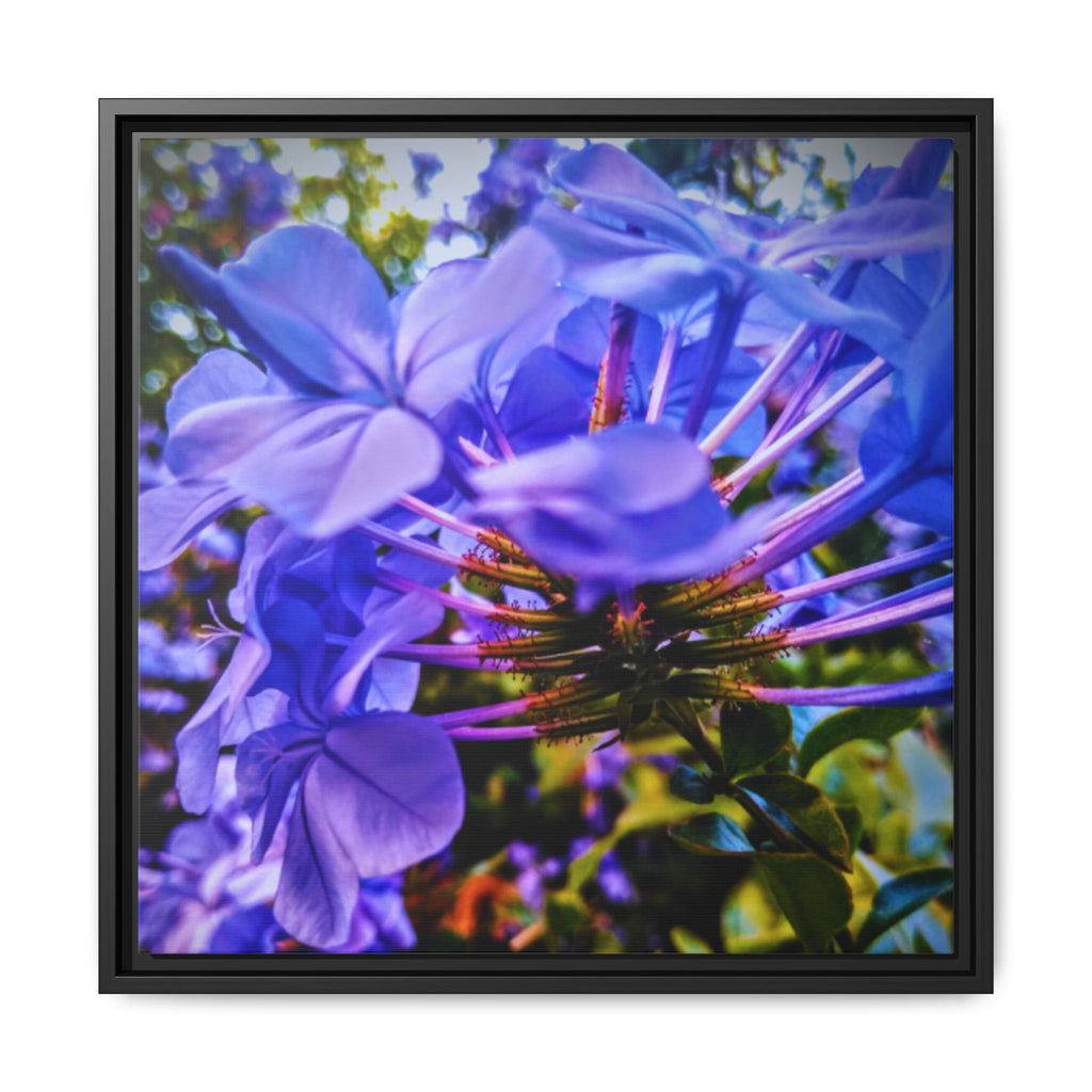 Blue Hydrangea Stem Matte Canvas Wall Art — Vibrant Close-Up Botanical Floral Print