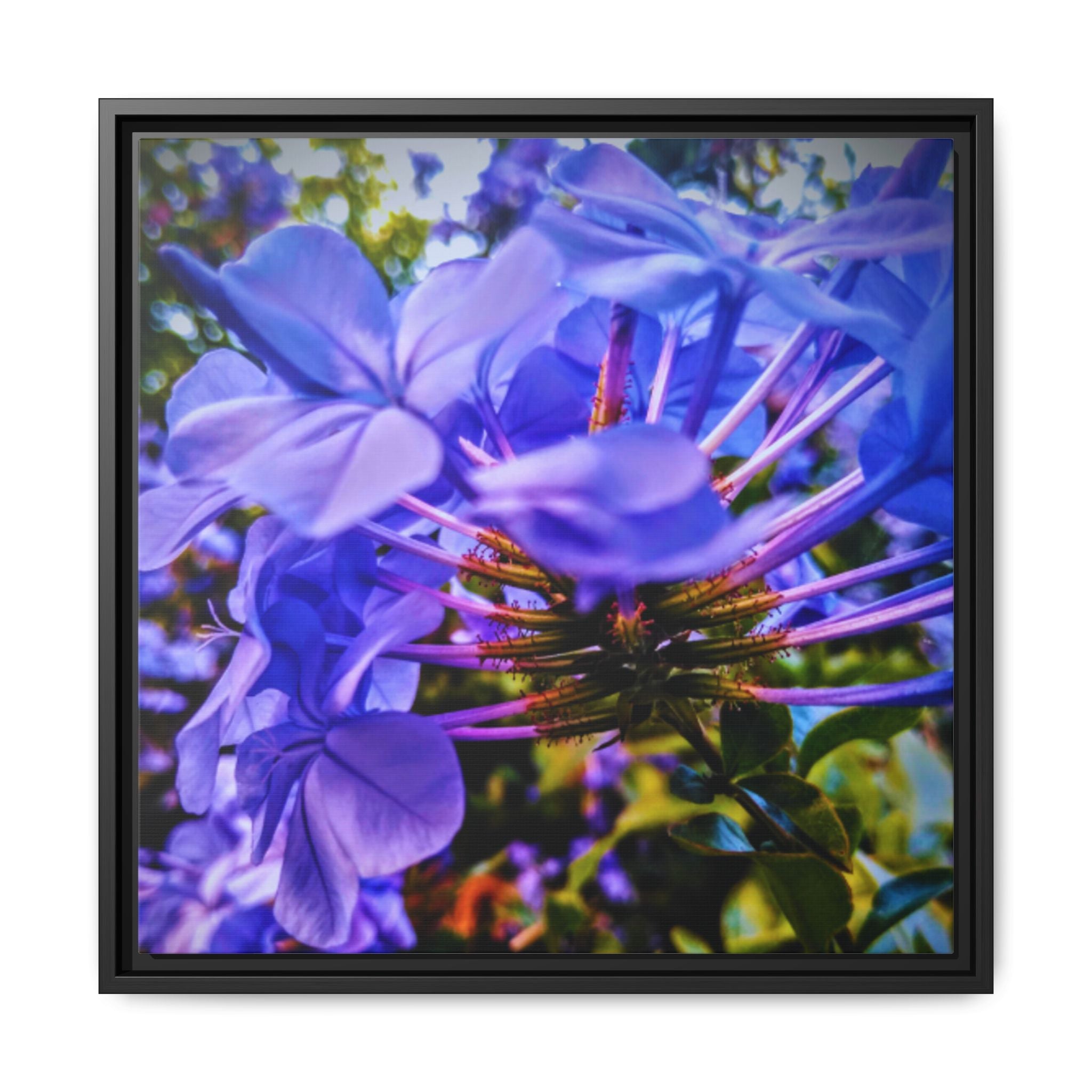 Blue Hydrangea Stem Matte Canvas Wall Art — Vibrant Close-Up Botanical Floral Print