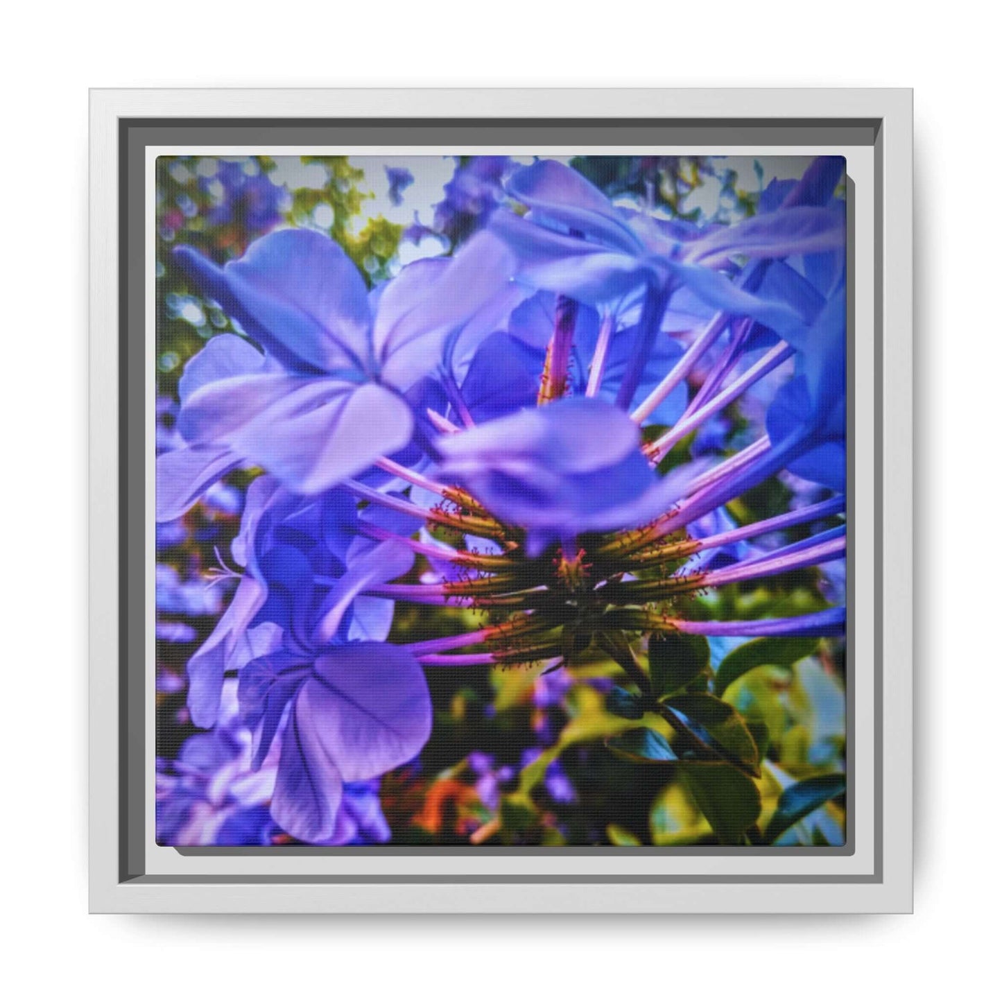 Blue Hydrangea Stem Matte Canvas Wall Art — Vibrant Close-Up Botanical Floral Print