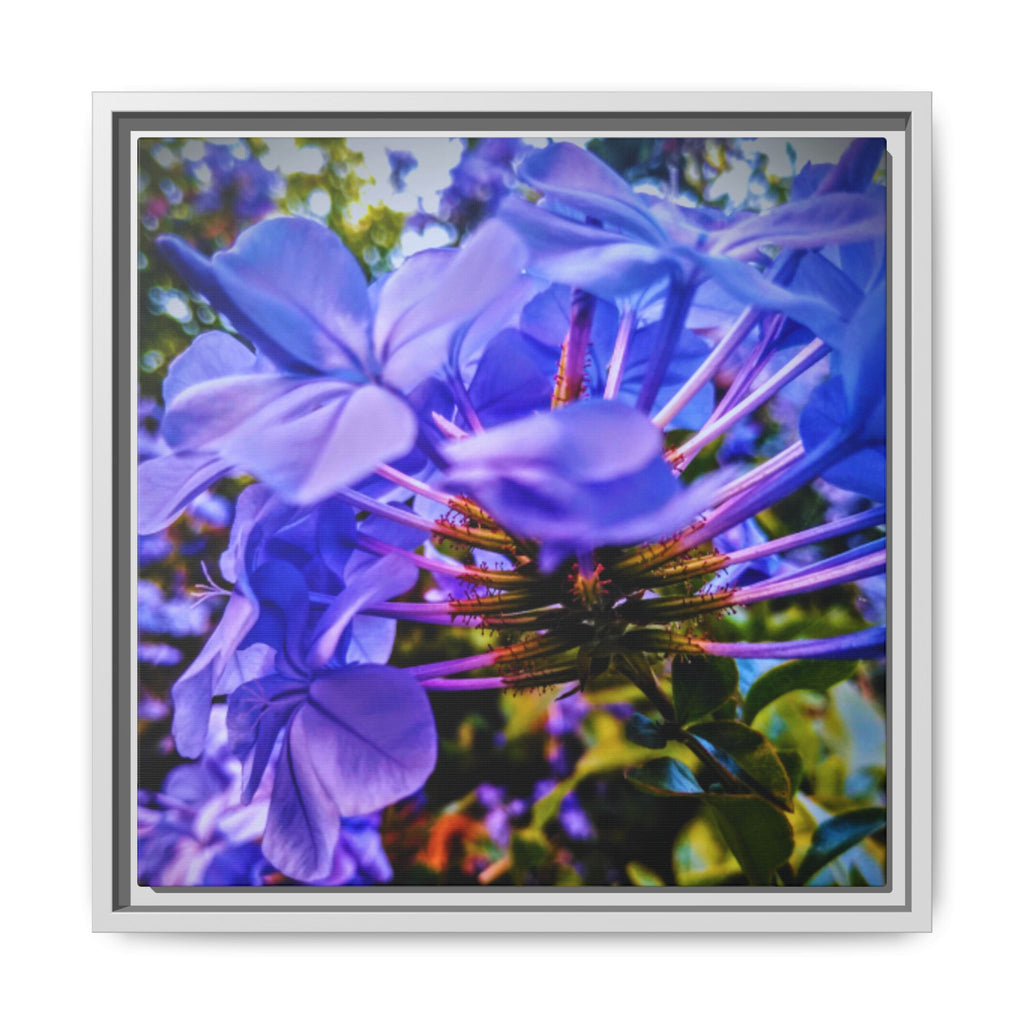 Blue Hydrangea Stem Matte Canvas Wall Art — Vibrant Close-Up Botanical Floral Print