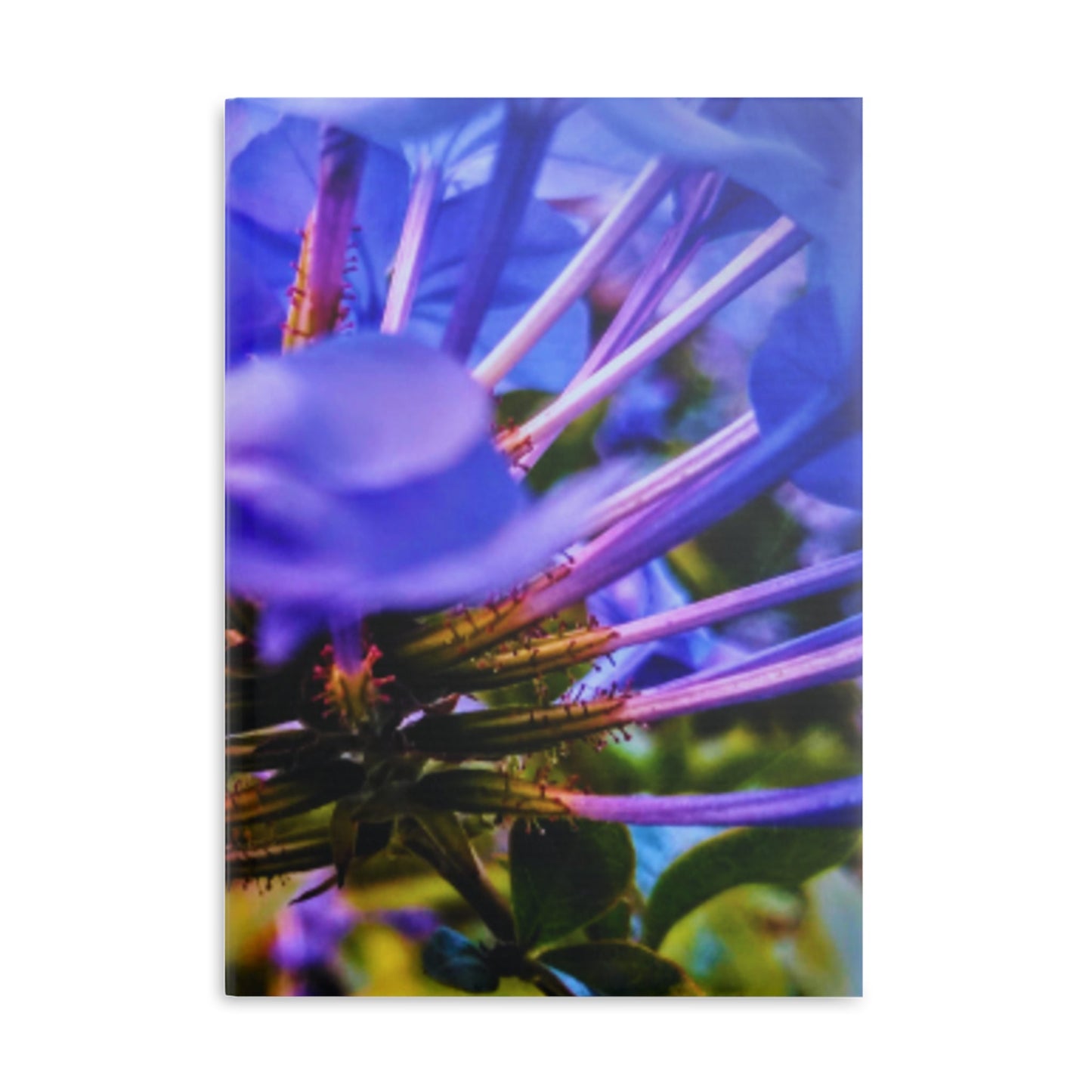 Blue Hydrangea Stem Puffy Hardcover Notebook