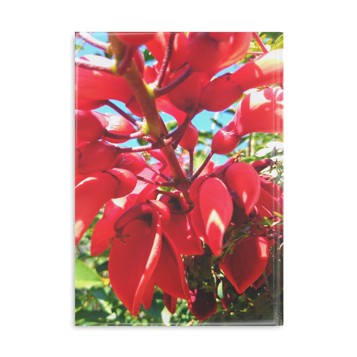 View details for Floral Hardcover Notebook — Tropical Red Blossom Puffy Cover Floral Hardcover Notebook — Tropical Red Blossom Puffy Cover