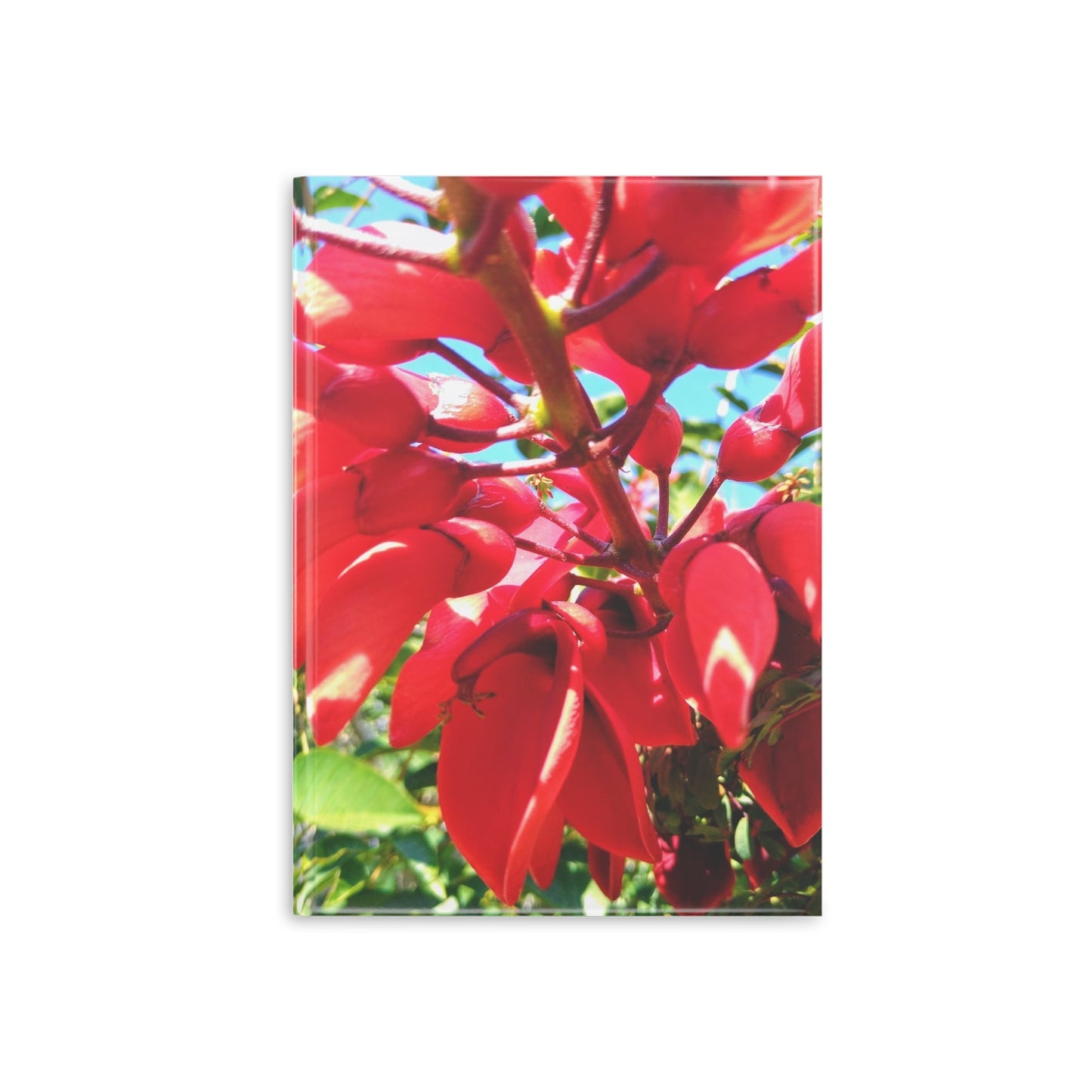 View details for Floral Hardcover Notebook — Tropical Red Blossom Puffy Cover Floral Hardcover Notebook — Tropical Red Blossom Puffy Cover