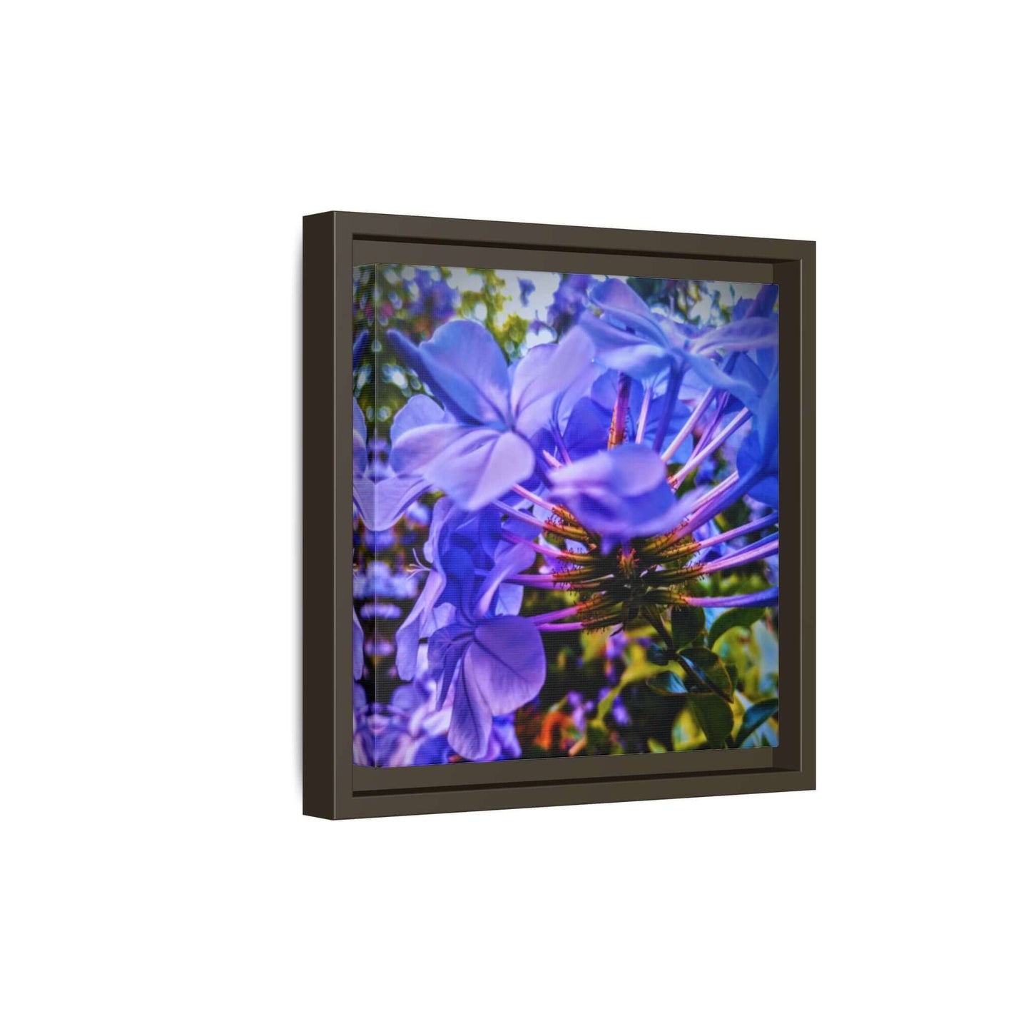 Blue Hydrangea Stem Canvas Wall Art