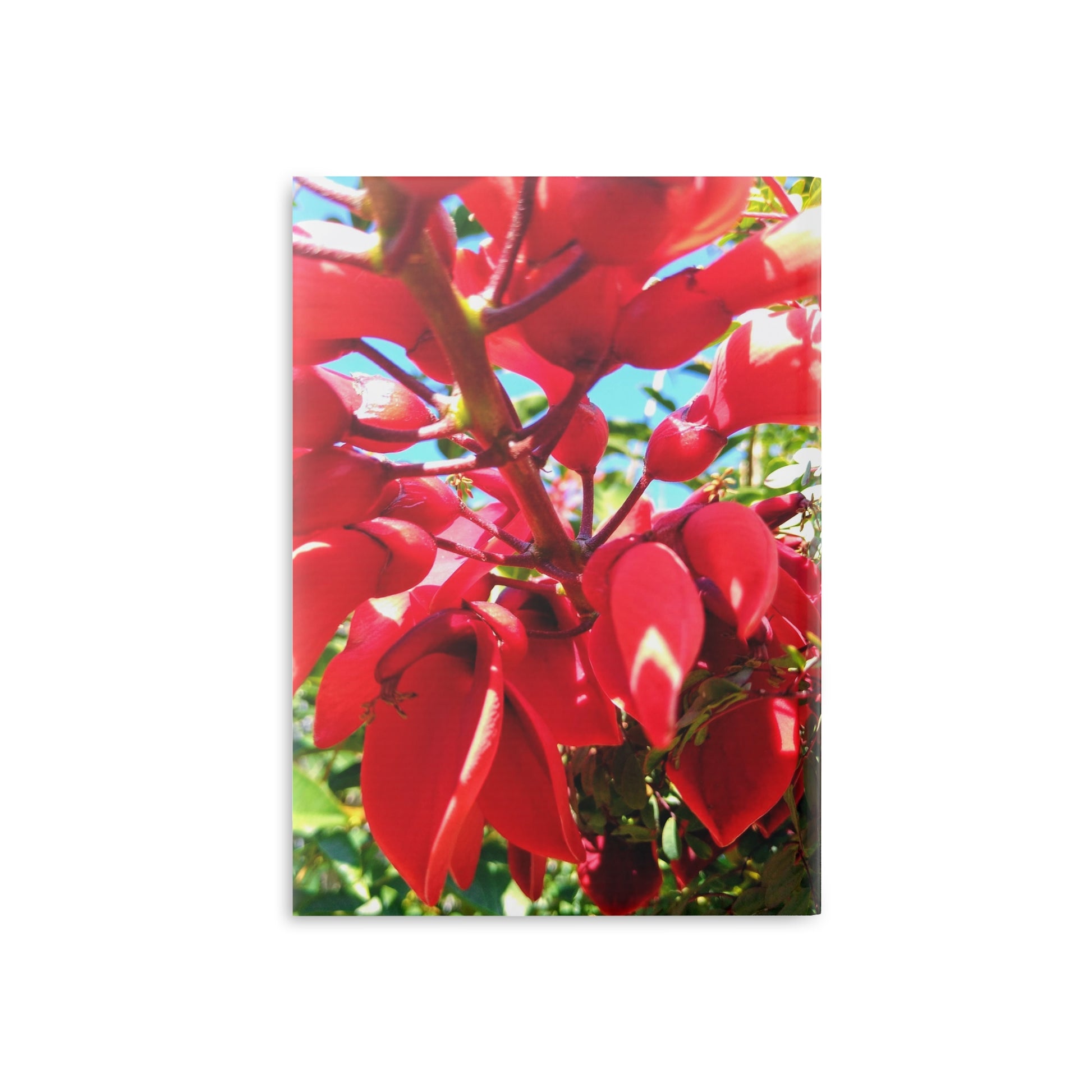View details for Floral Hardcover Notebook — Tropical Red Blossom Puffy Cover Floral Hardcover Notebook — Tropical Red Blossom Puffy Cover