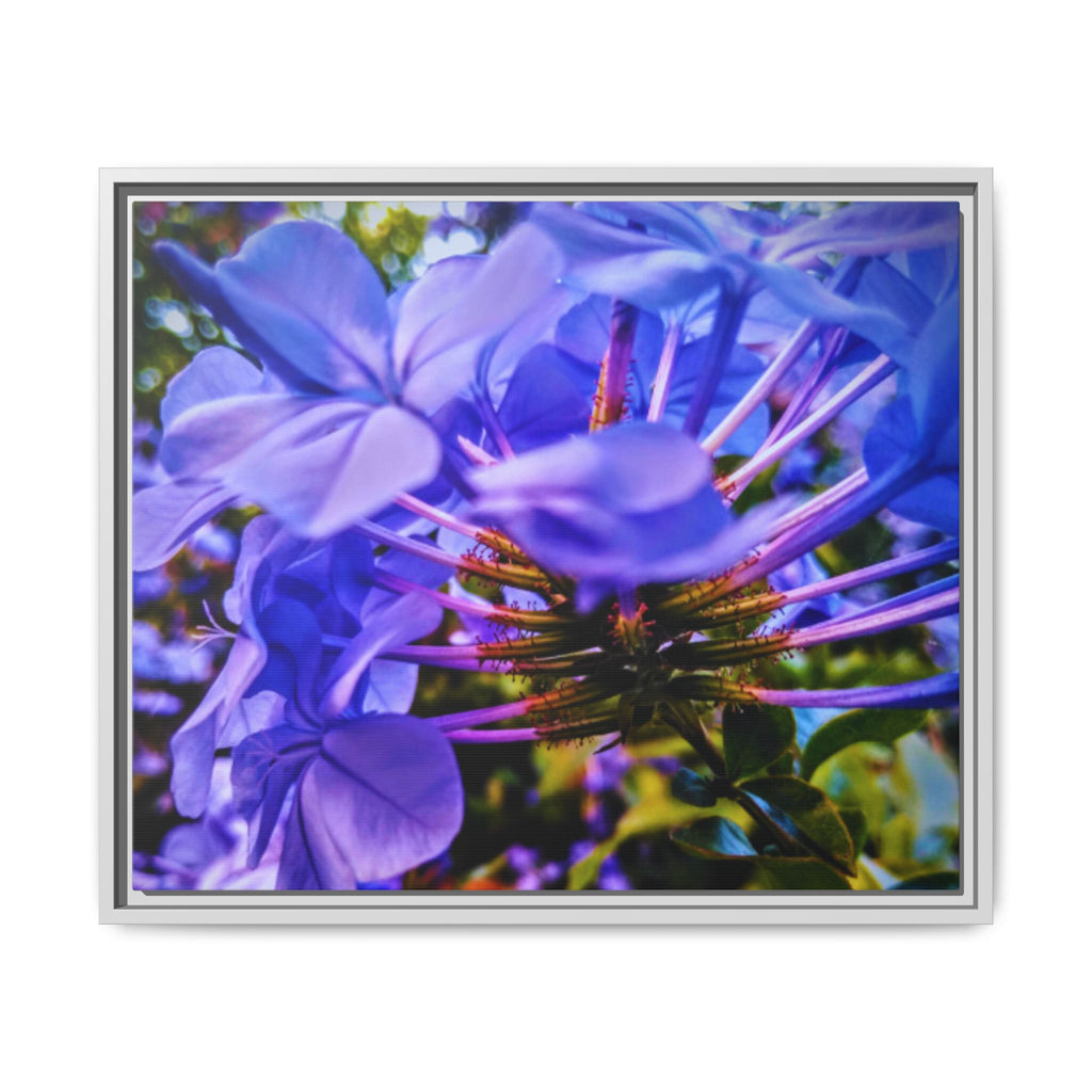 Blue Hydrangea Stem Matte Canvas Wall Art — Vibrant Close-Up Botanical Floral Print