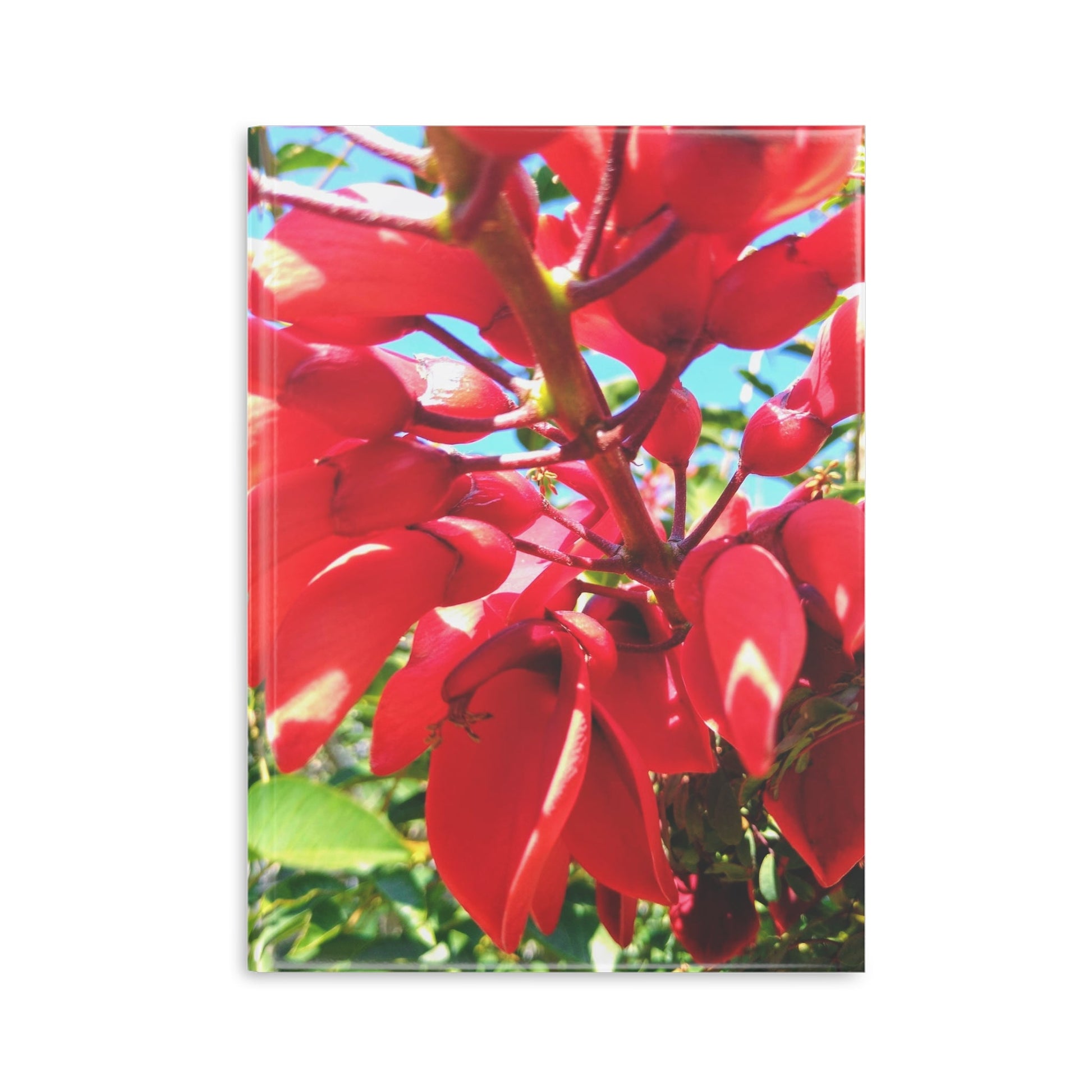 View details for Floral Hardcover Notebook — Tropical Red Blossom Puffy Cover Floral Hardcover Notebook — Tropical Red Blossom Puffy Cover
