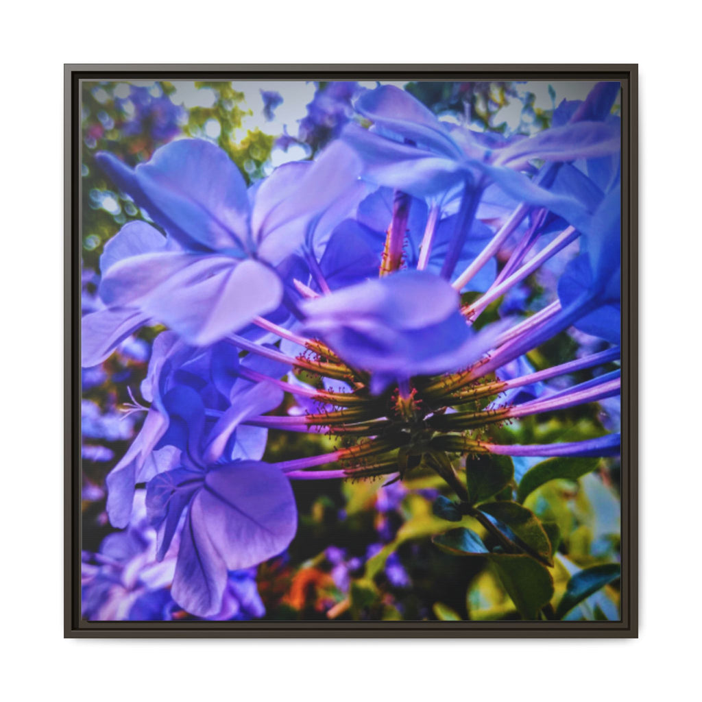 Blue Hydrangea Stem Matte Canvas Wall Art — Vibrant Close-Up Botanical Floral Print