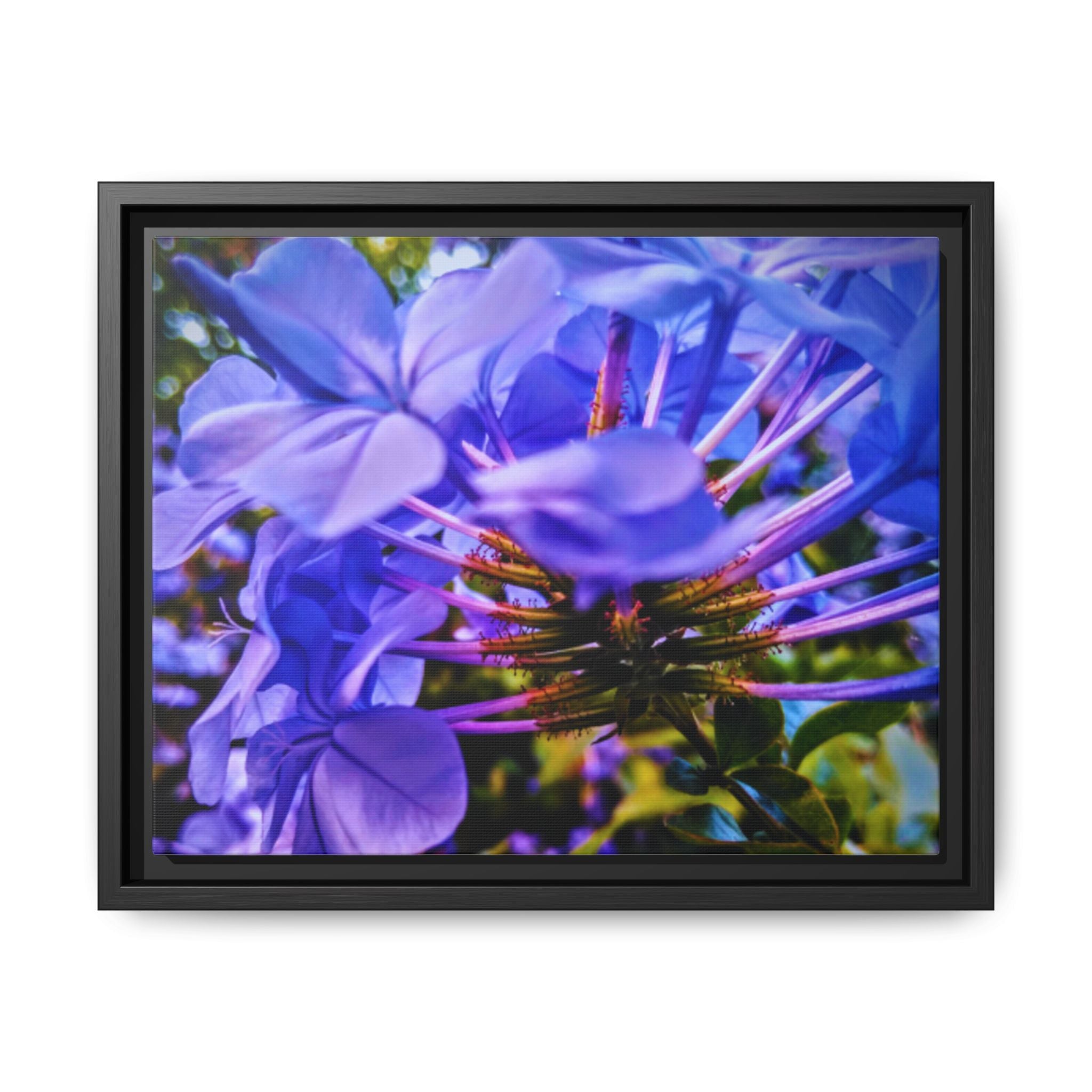 Blue Hydrangea Stem Matte Canvas Wall Art — Vibrant Close-Up Botanical Floral Print