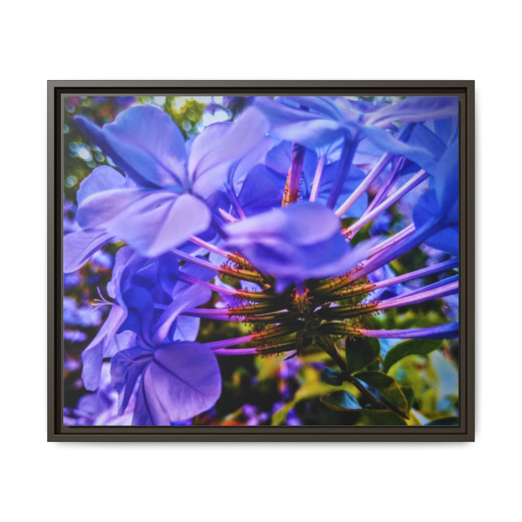 Blue Hydrangea Stem Matte Canvas Wall Art — Vibrant Close-Up Botanical Floral Print