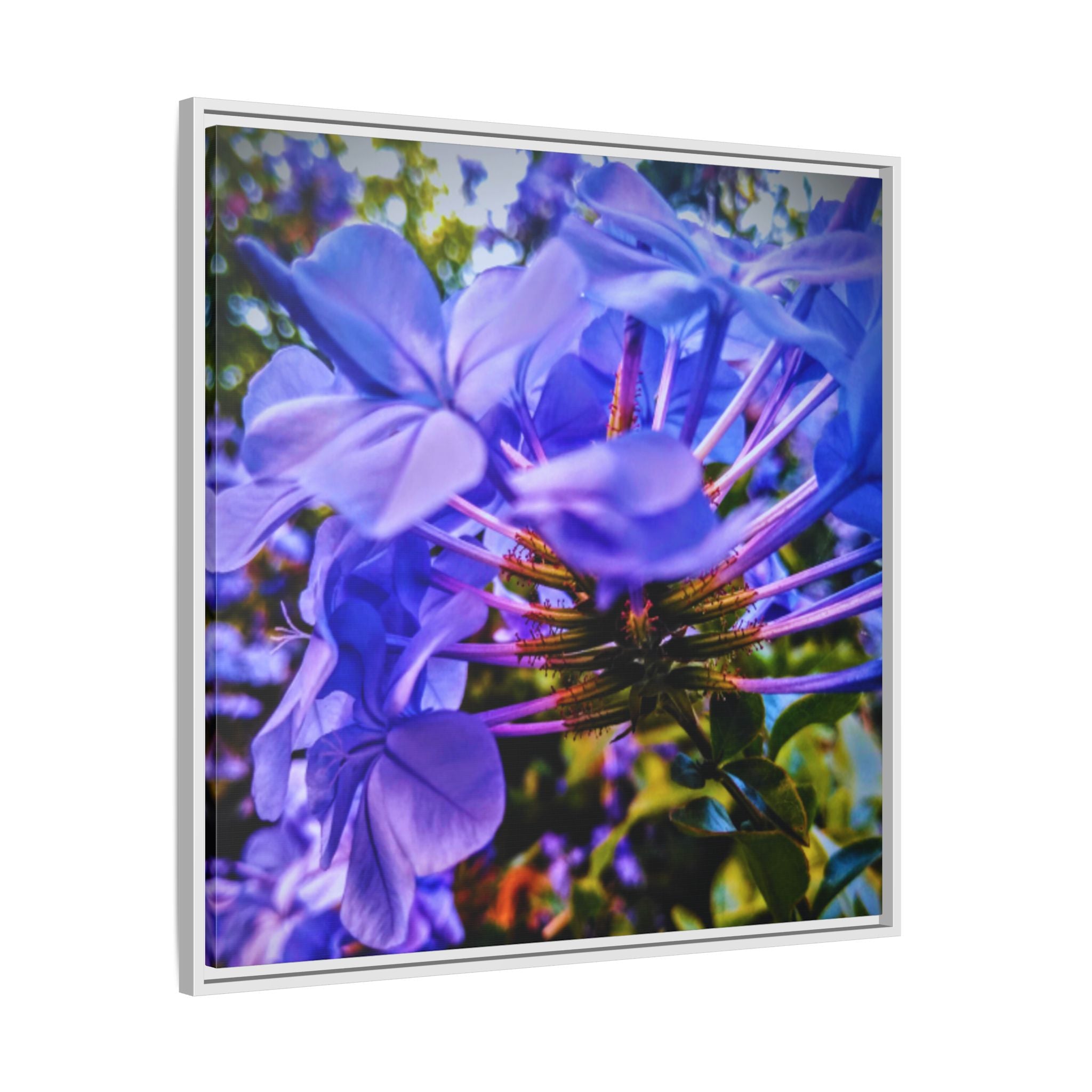 Blue Hydrangea Stem Matte Canvas Wall Art — Vibrant Close-Up Botanical Floral Print