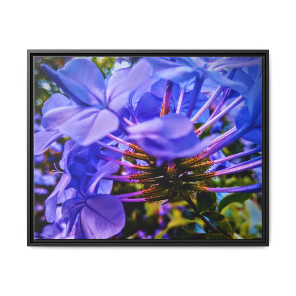 Blue Hydrangea Stem Matte Canvas Wall Art — Vibrant Close-Up Botanical Floral Print