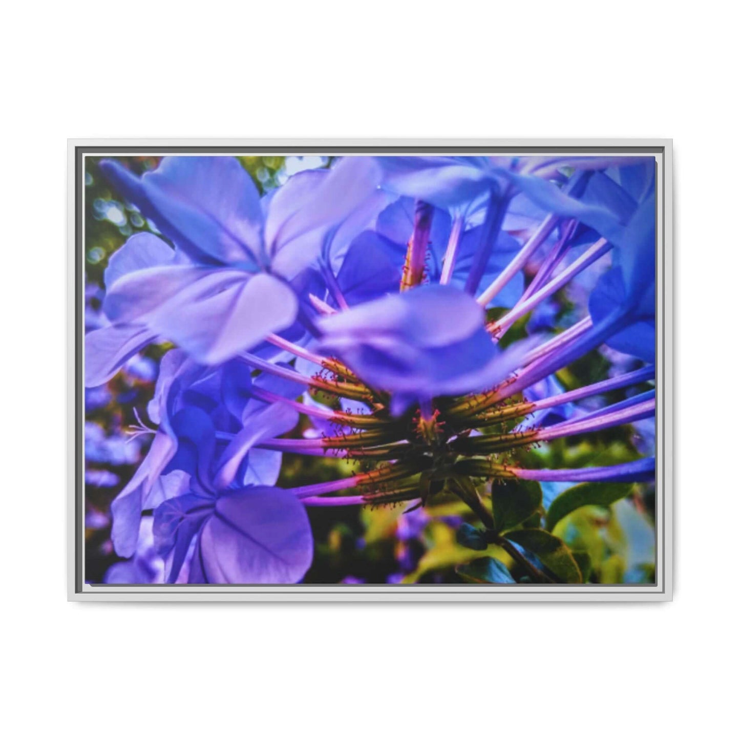 Blue Hydrangea Stem Matte Canvas Wall Art — Vibrant Close-Up Botanical Floral Print
